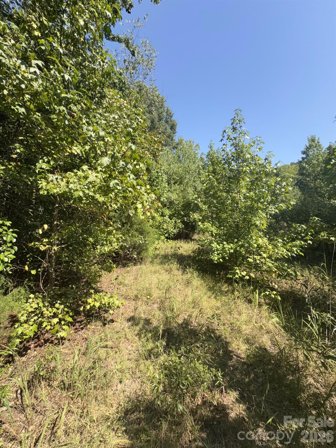 0 Flat Swamp Road Property Photo 4