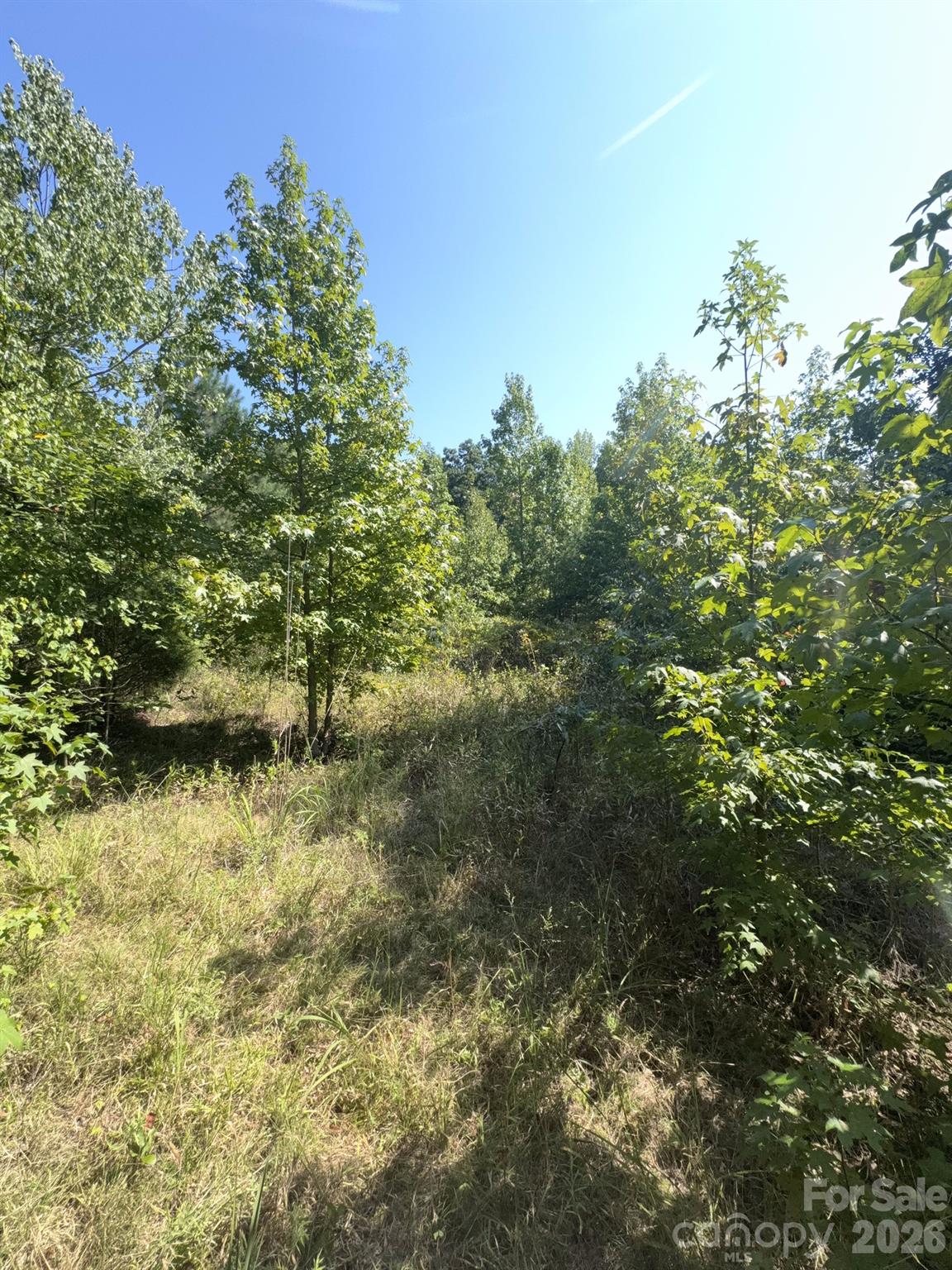 0 Flat Swamp Road Property Photo 5