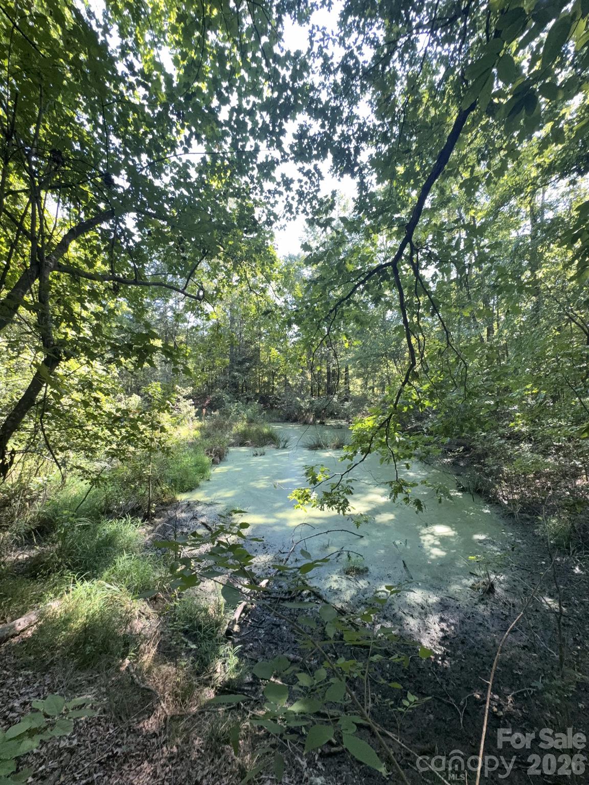 0 Flat Swamp Road Property Photo 6