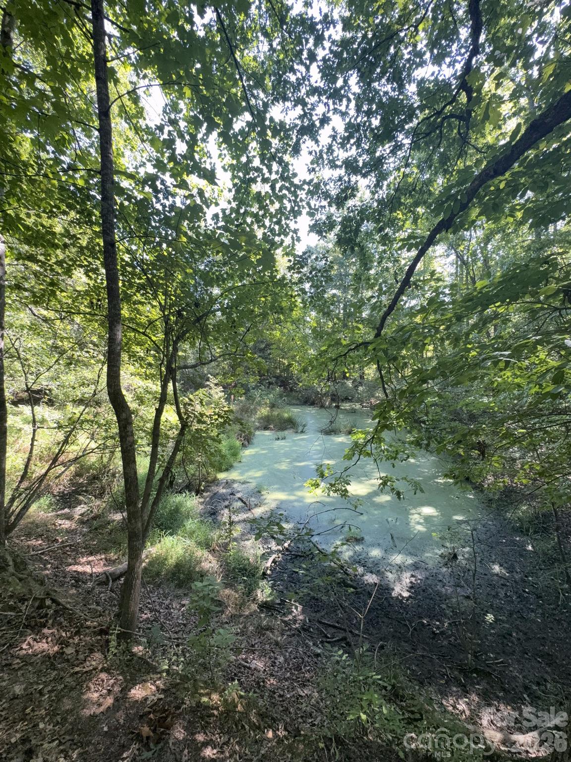 0 Flat Swamp Road Property Photo 8