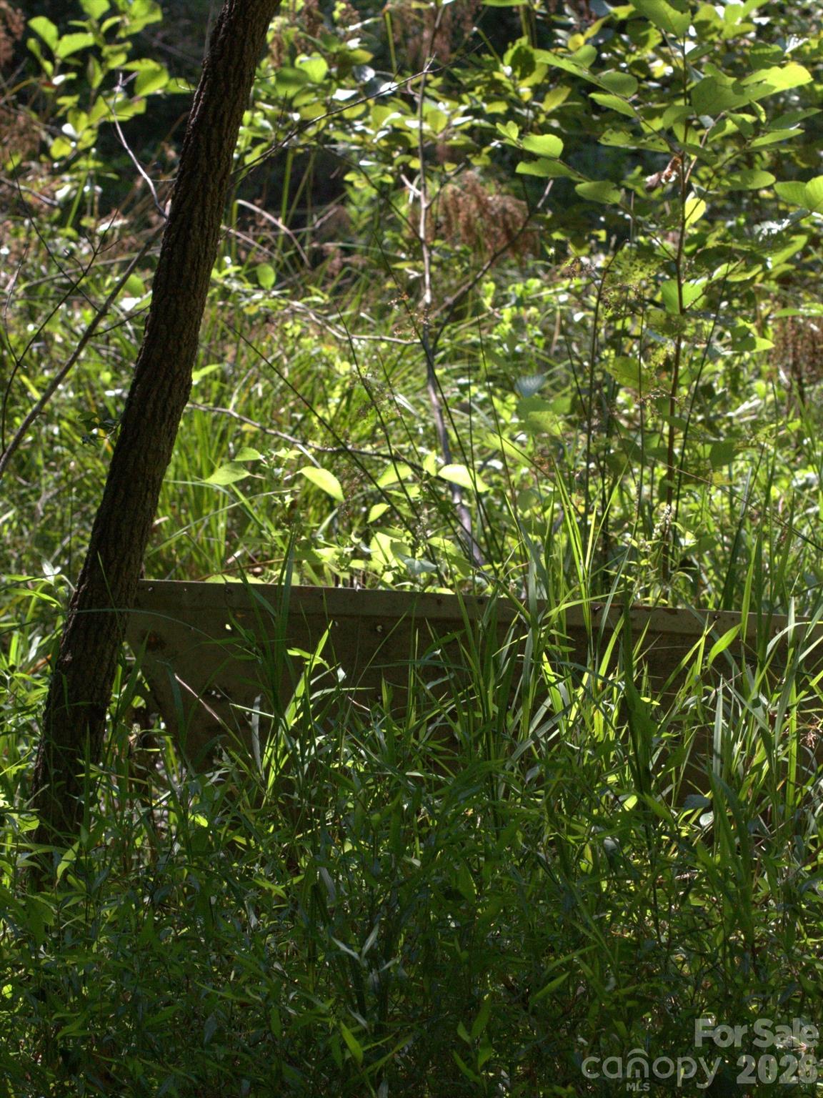 0 Flat Swamp Road Property Photo 9
