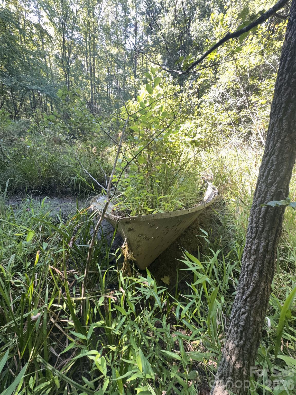 0 Flat Swamp Road Property Photo 10