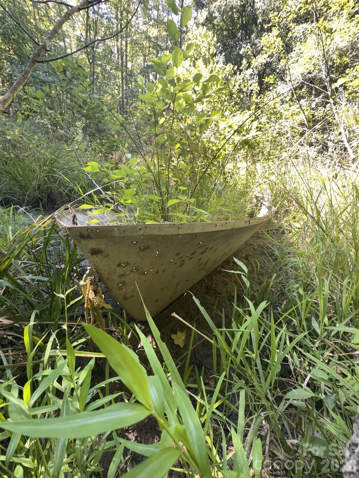 0 Flat Swamp Road Property Photo 11