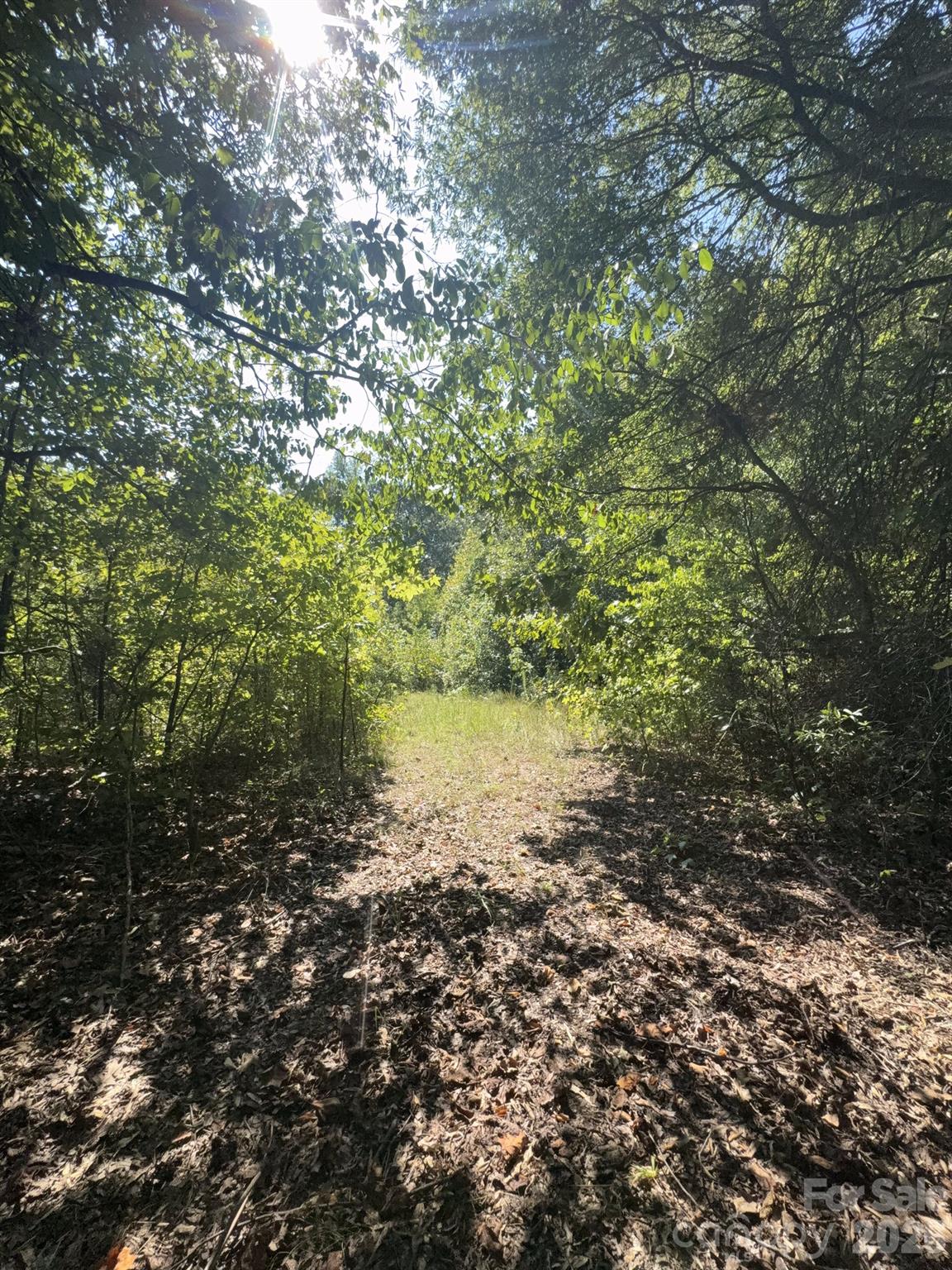 0 Flat Swamp Road Property Photo 12