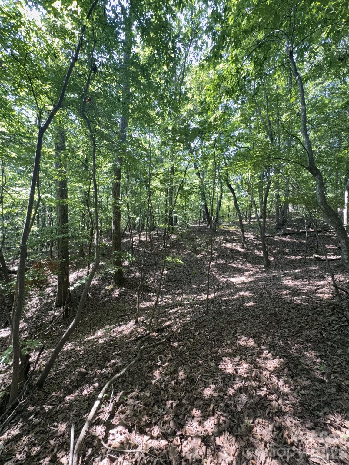 0 Flat Swamp Road Property Photo 13