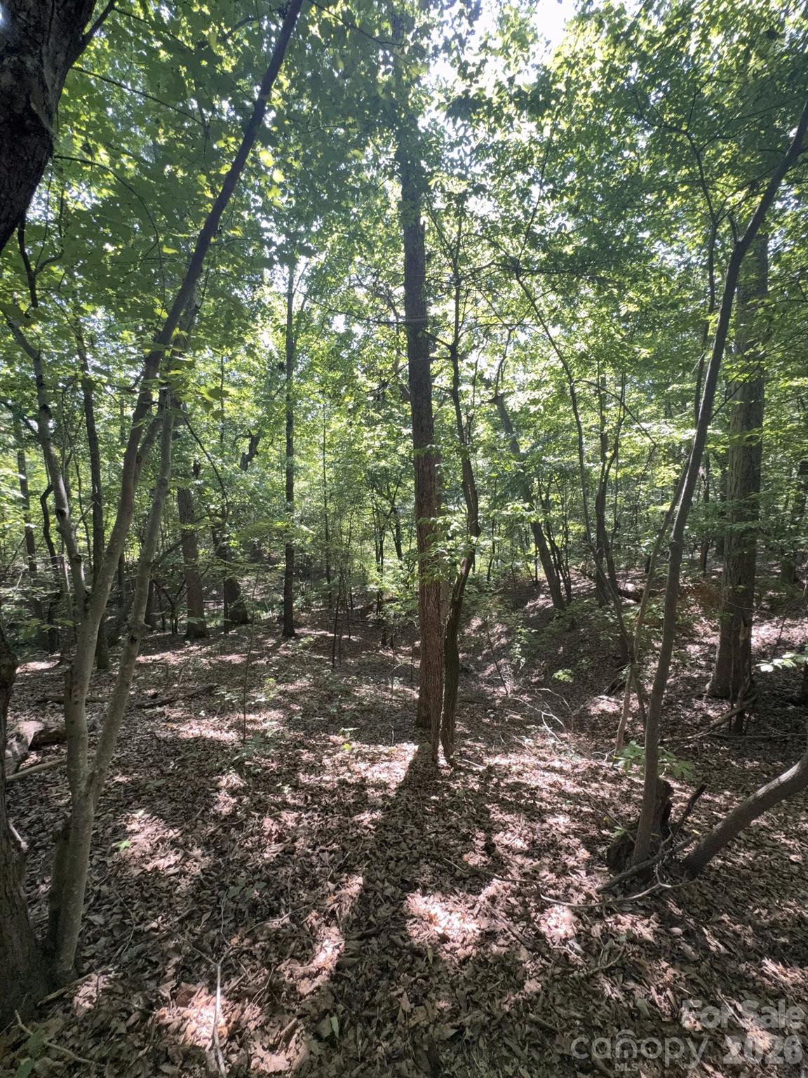 0 Flat Swamp Road Property Photo 14