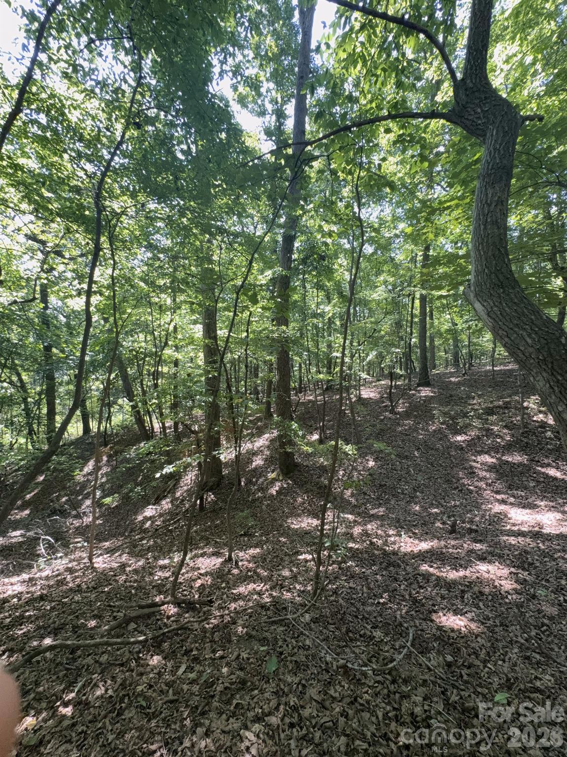 0 Flat Swamp Road Property Photo 15
