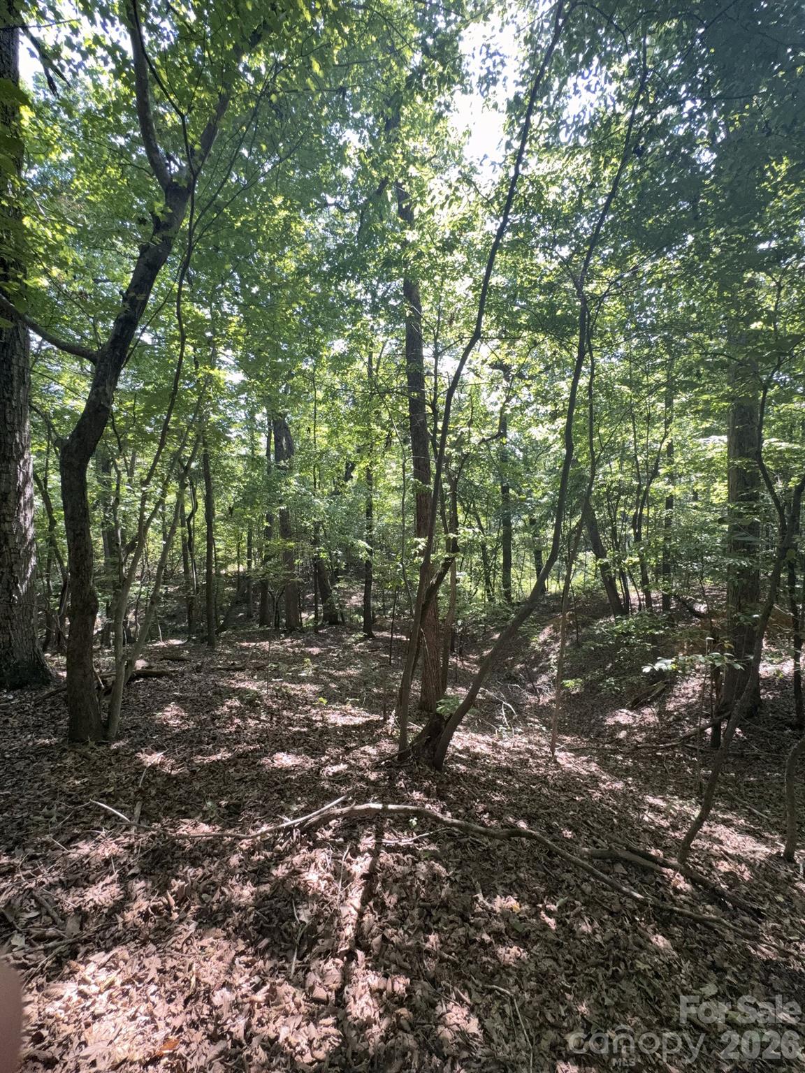 0 Flat Swamp Road Property Photo 16