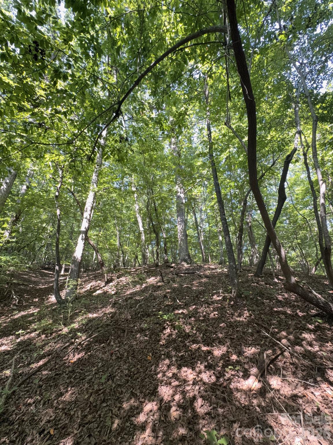 0 Flat Swamp Road Property Photo 17
