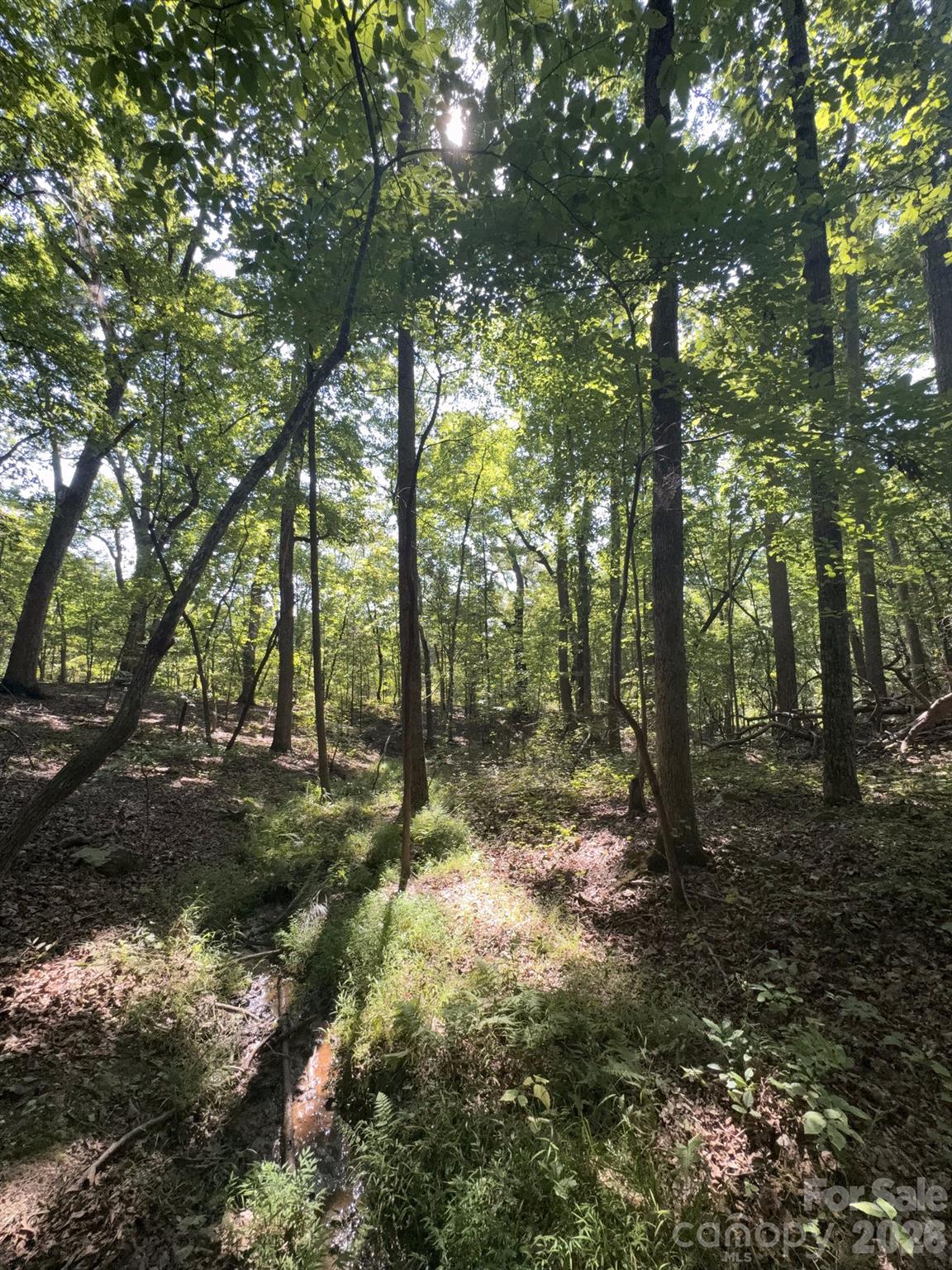 0 Flat Swamp Road Property Photo 18