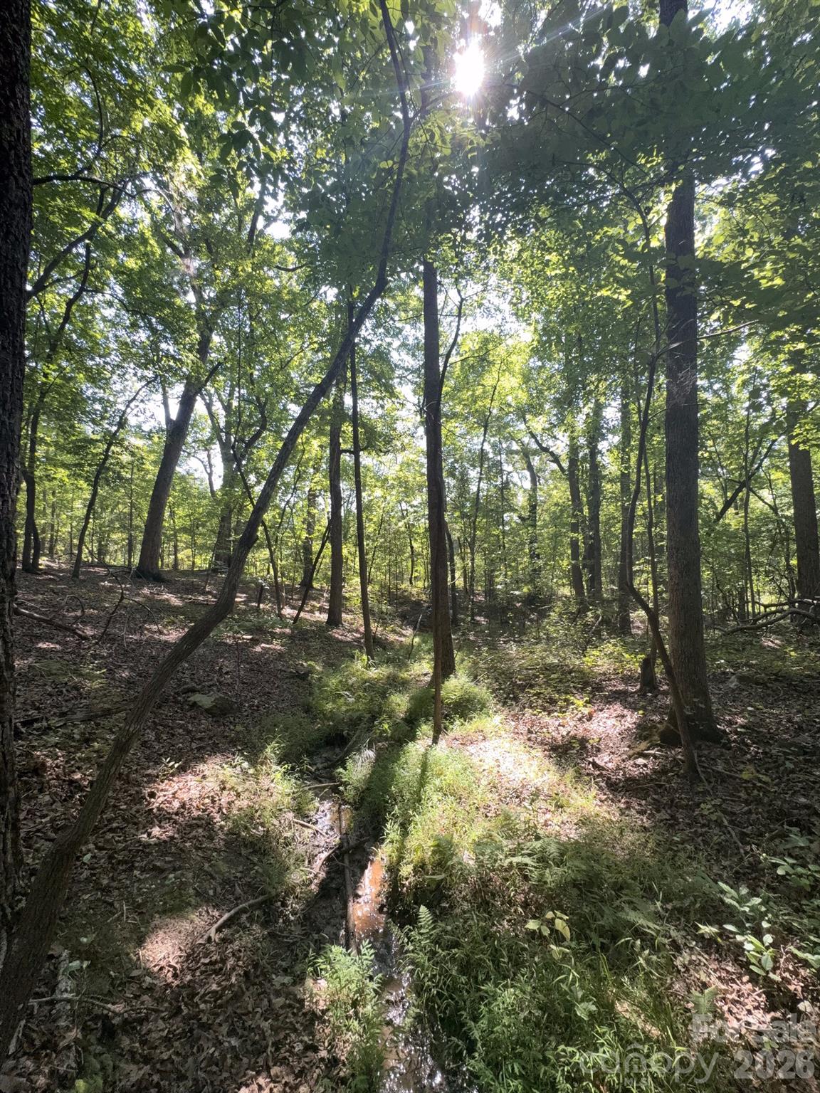 0 Flat Swamp Road Property Photo 19