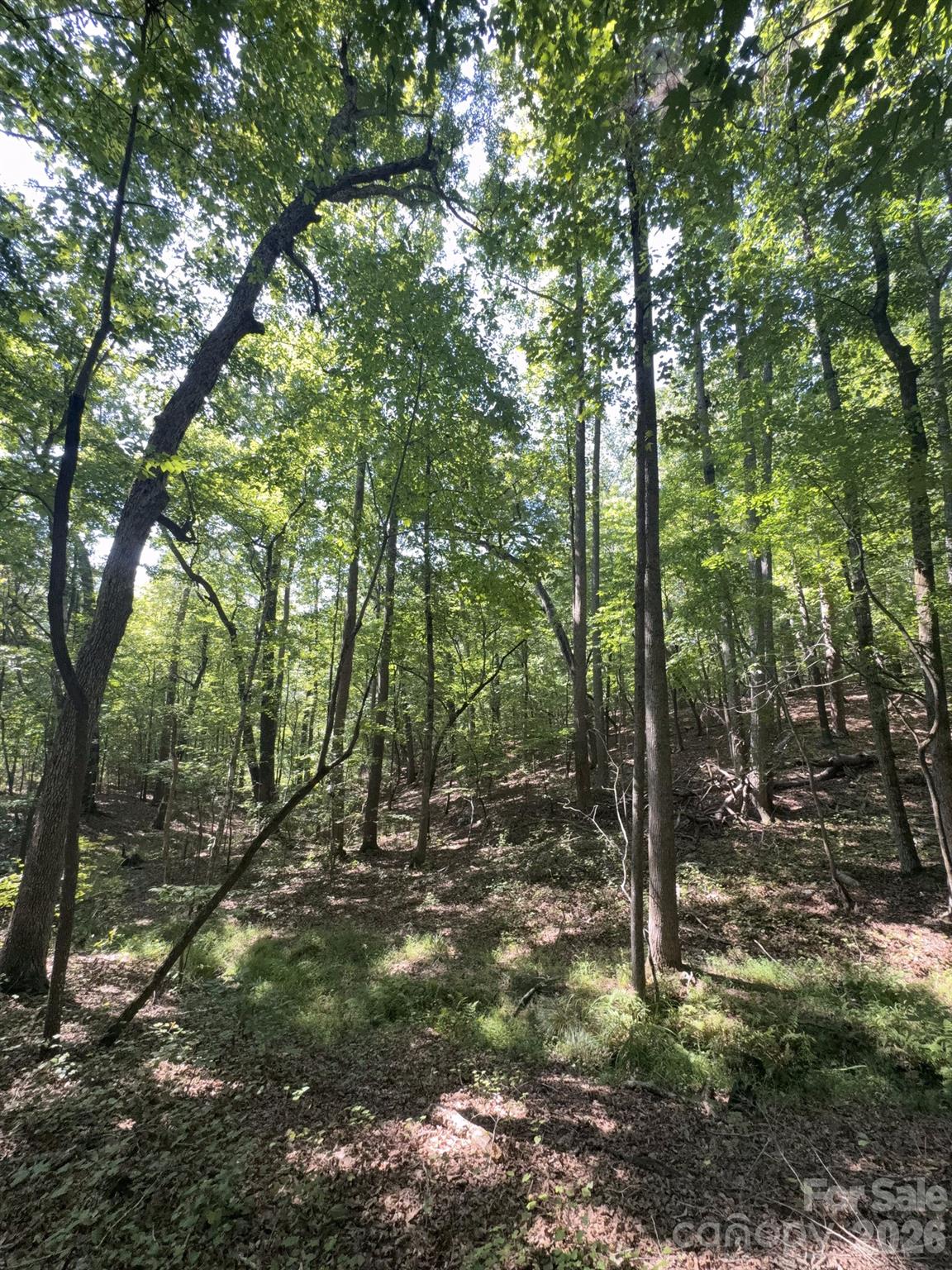 0 Flat Swamp Road Property Photo 20