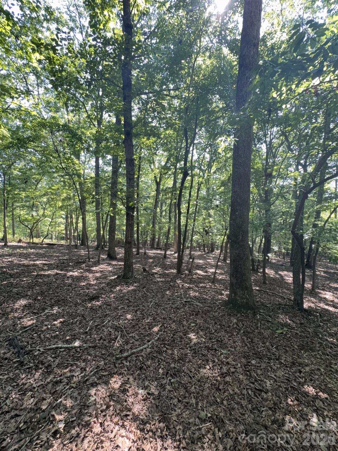 0 Flat Swamp Road Property Photo 21