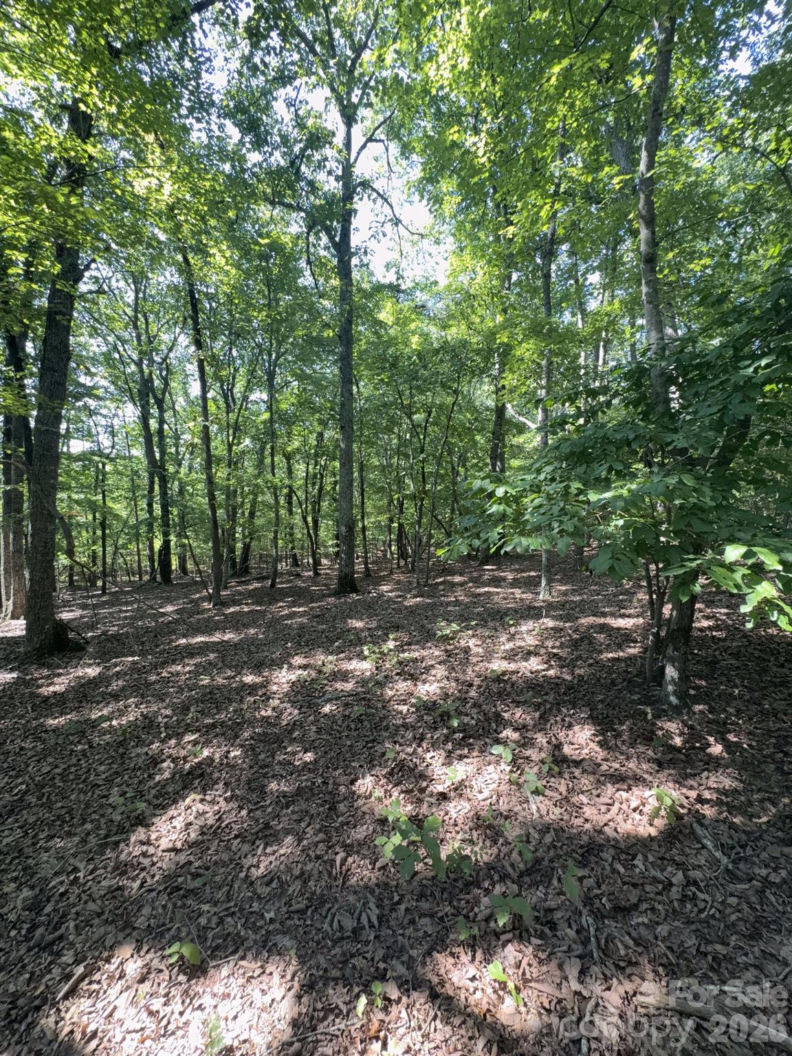 0 Flat Swamp Road Property Photo 22