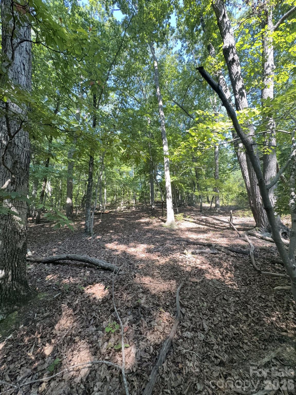 0 Flat Swamp Road Property Photo 23