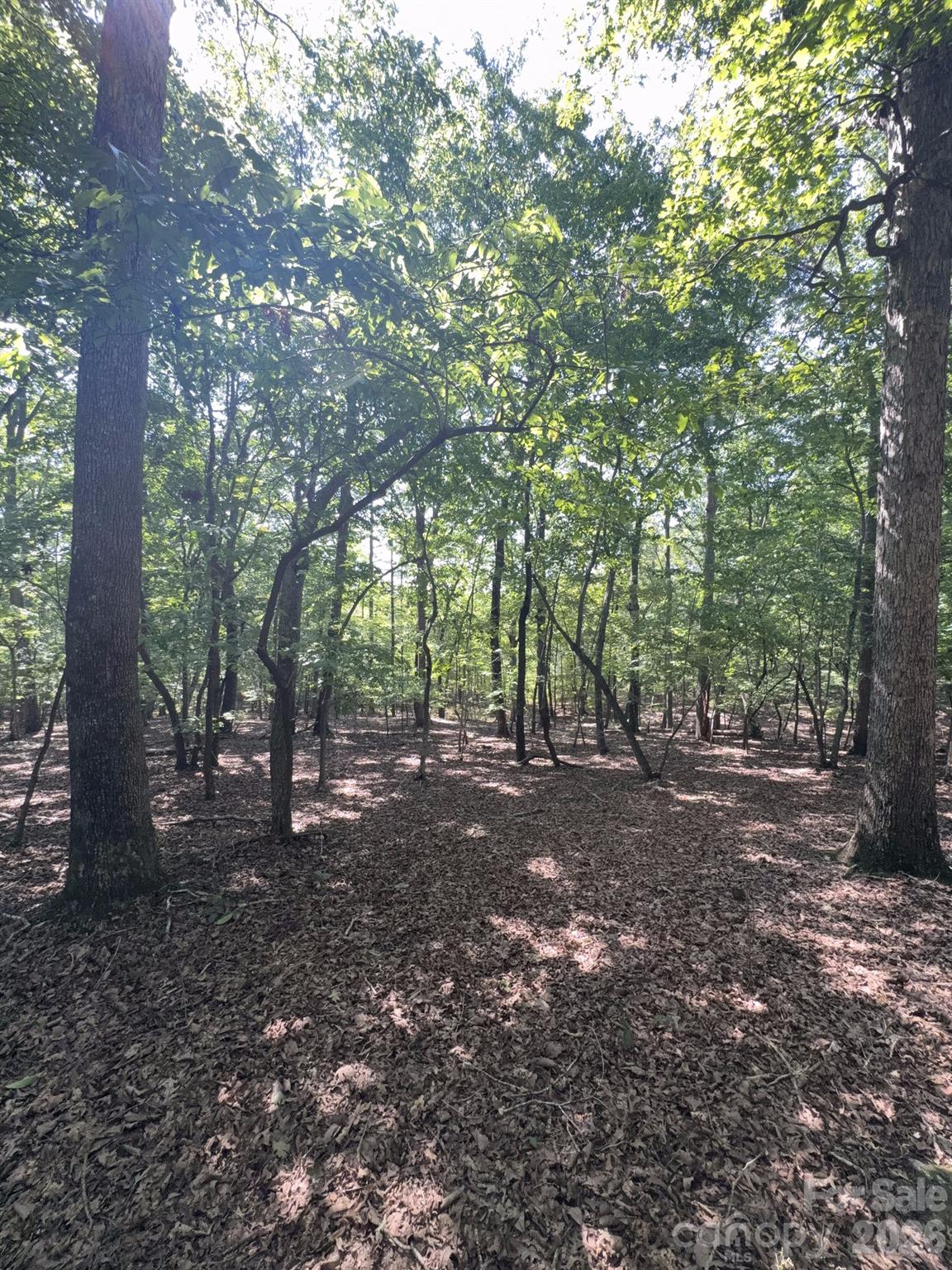 0 Flat Swamp Road Property Photo 24