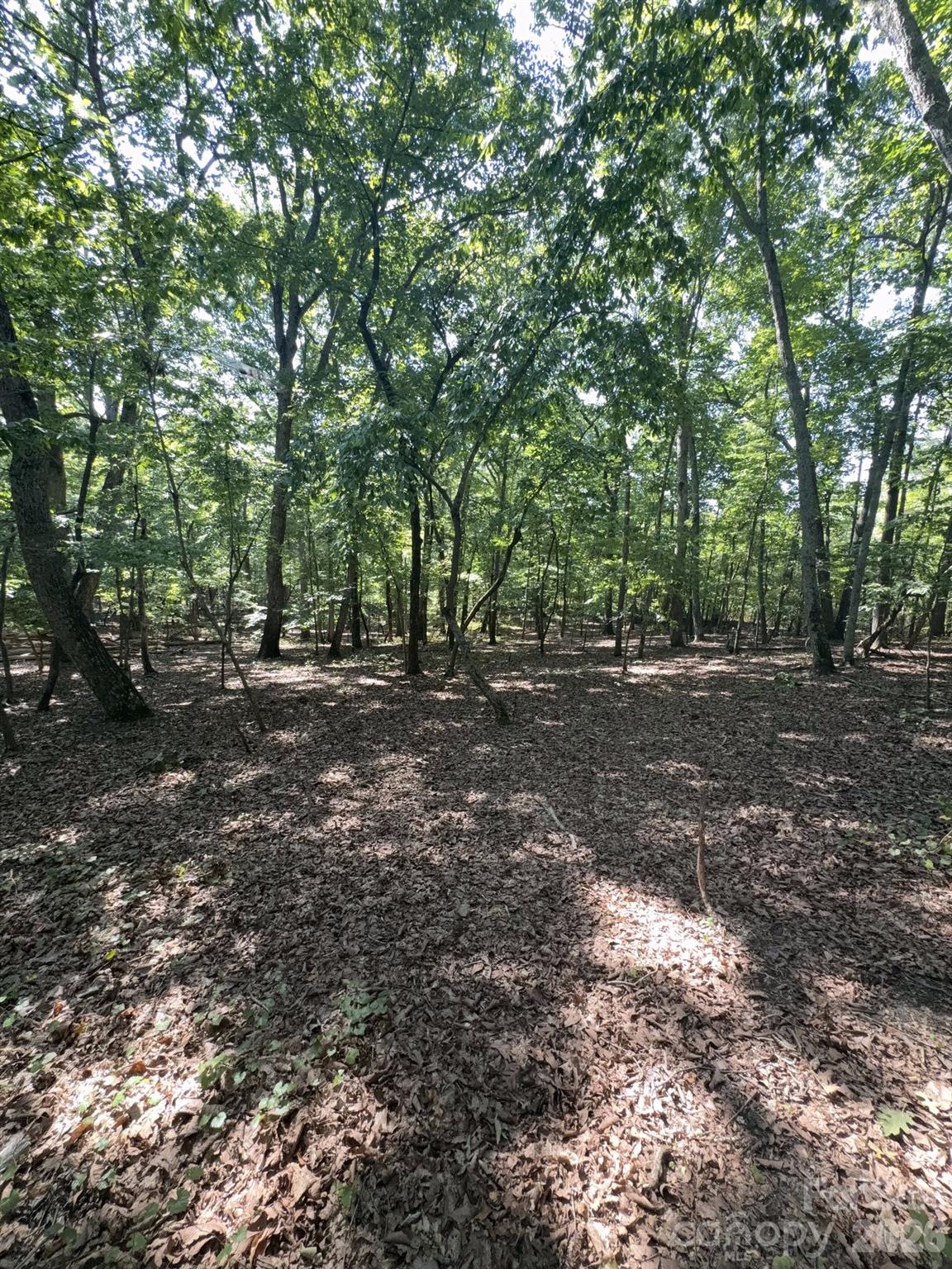 0 Flat Swamp Road Property Photo 25