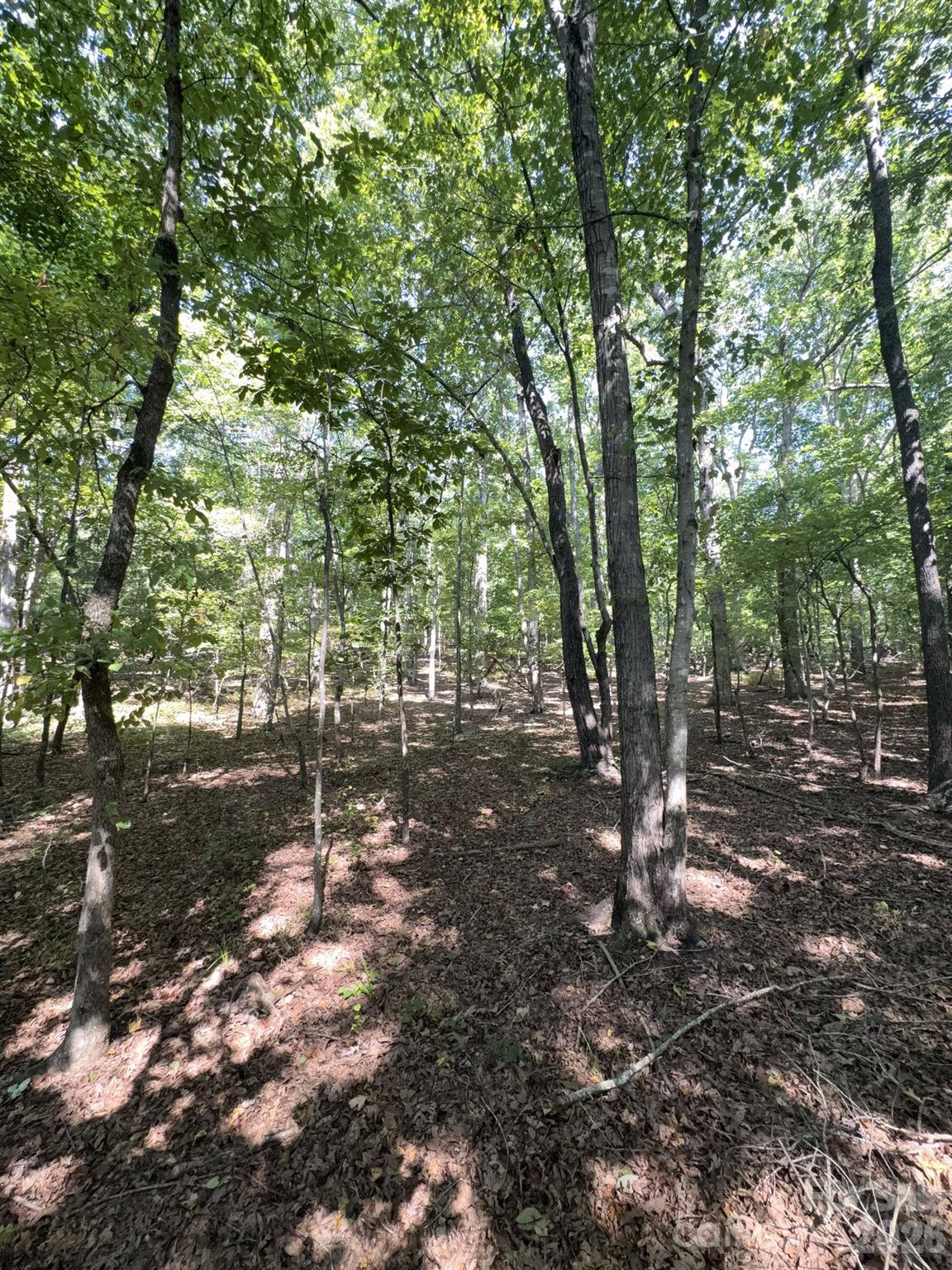 0 Flat Swamp Road Property Photo 26
