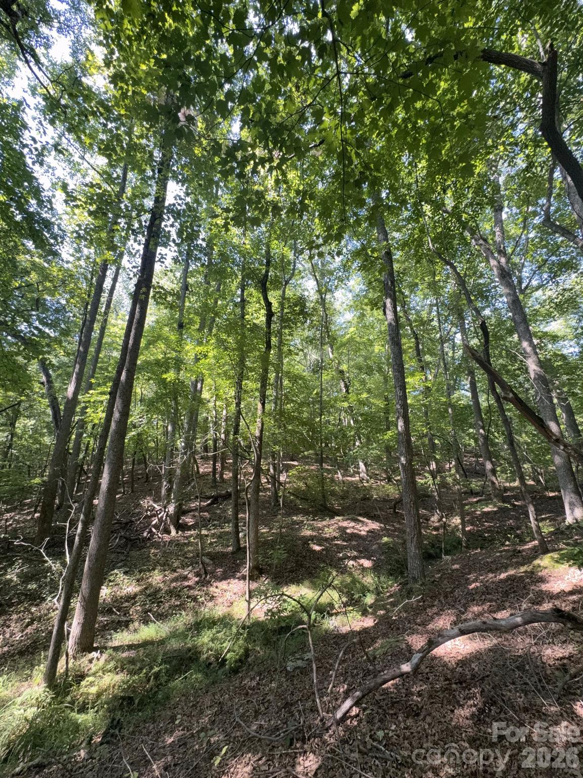 0 Flat Swamp Road Property Photo 27