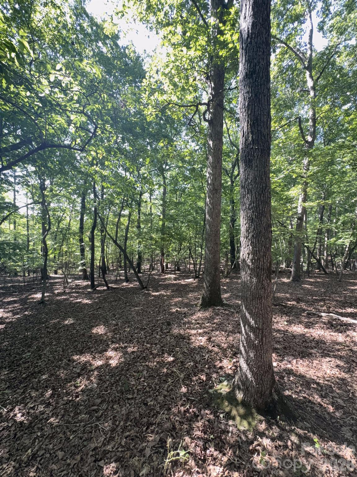 0 Flat Swamp Road Property Photo 28