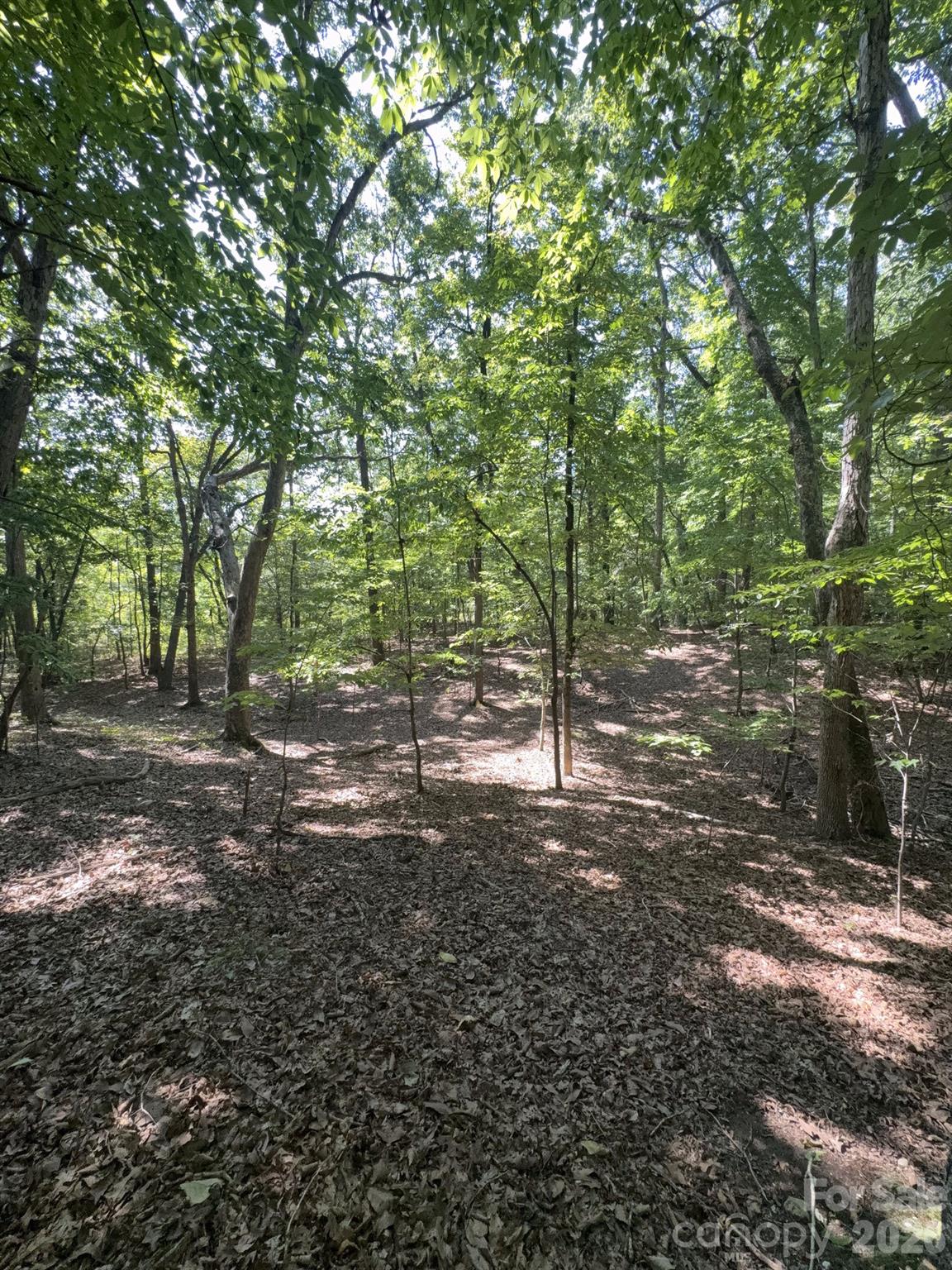 0 Flat Swamp Road Property Photo 29