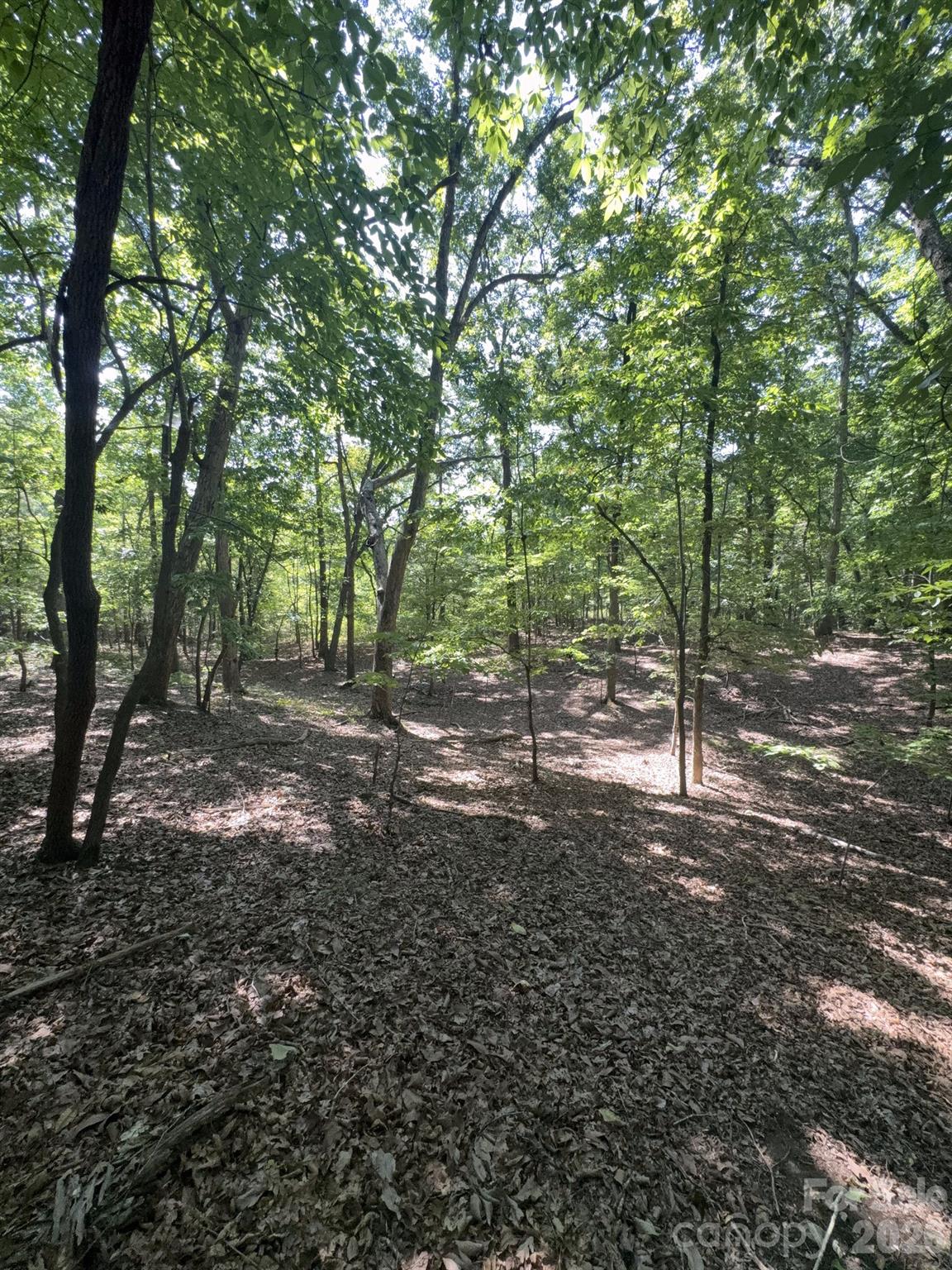 0 Flat Swamp Road Property Photo 30