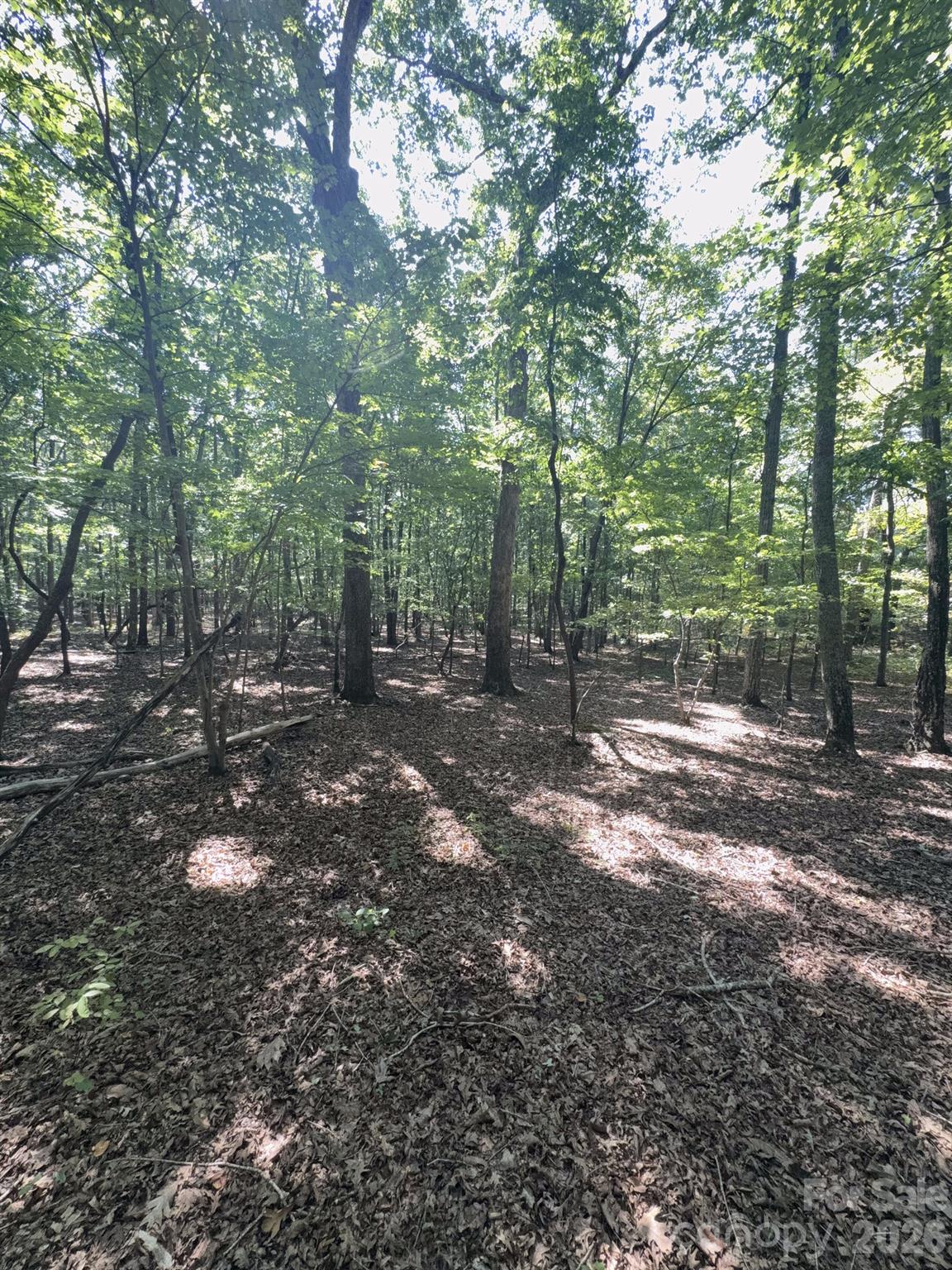 0 Flat Swamp Road Property Photo 31