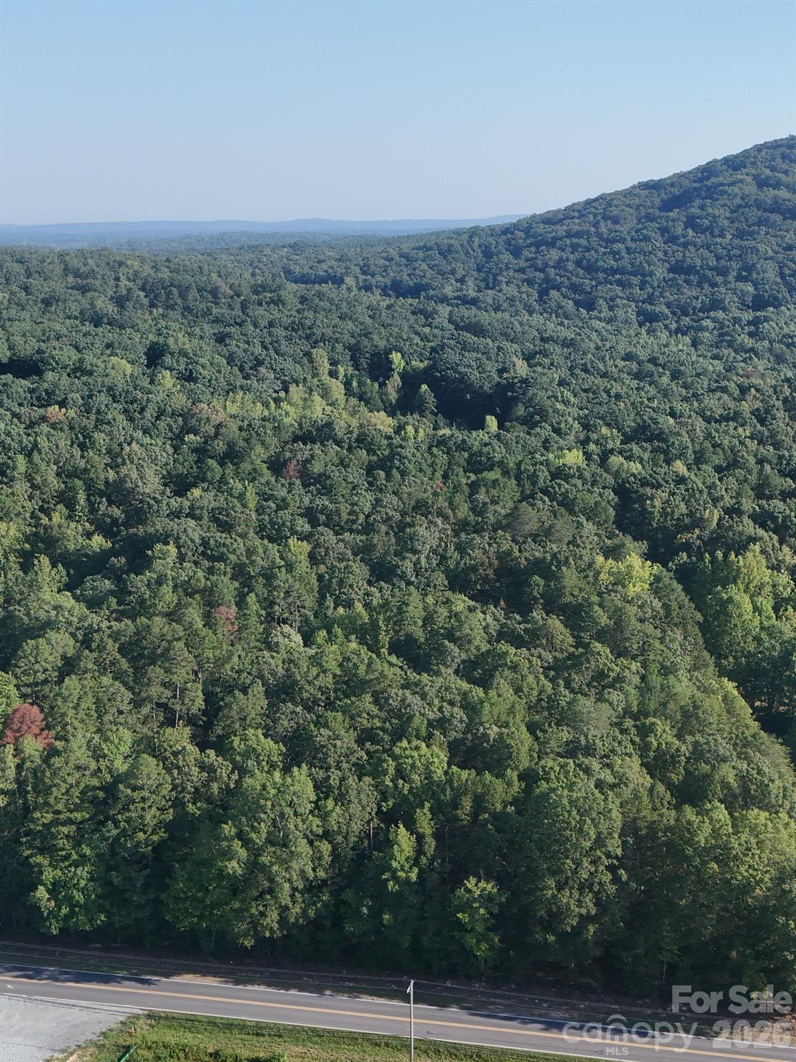 0 Flat Swamp Road Property Photo 33