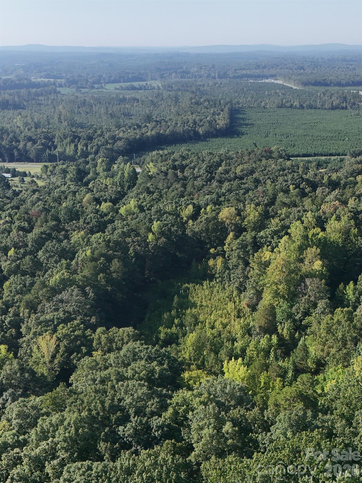 0 Flat Swamp Road Property Photo 34
