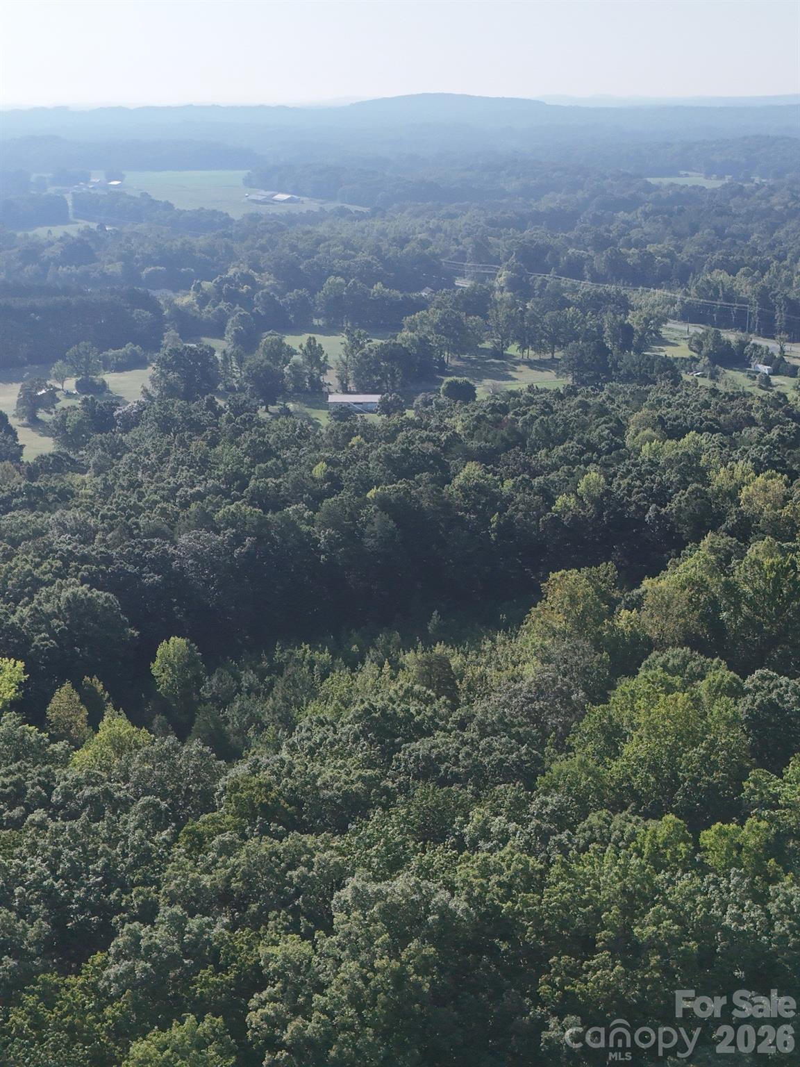 0 Flat Swamp Road Property Photo 37