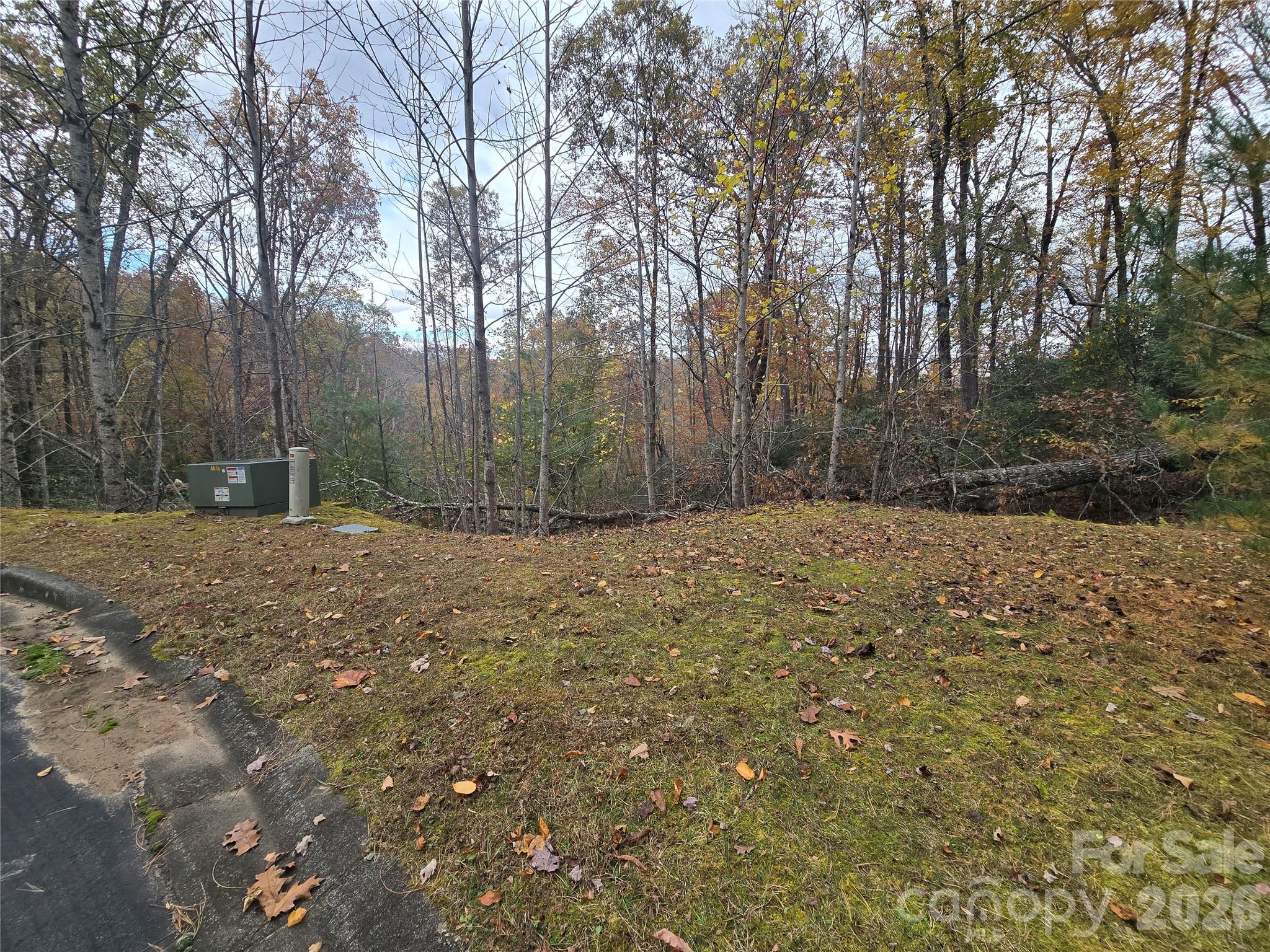 0 Shining Rock Path 17r Property Photo 2