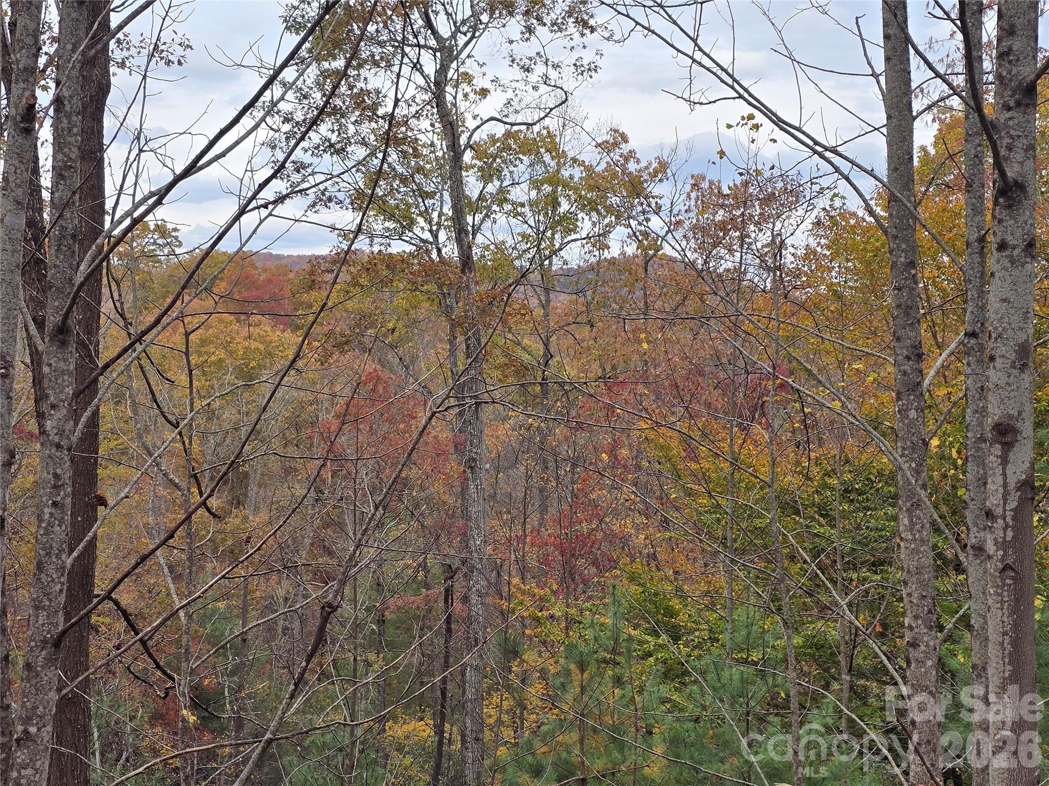 0 Shining Rock Path 17r Property Photo 3