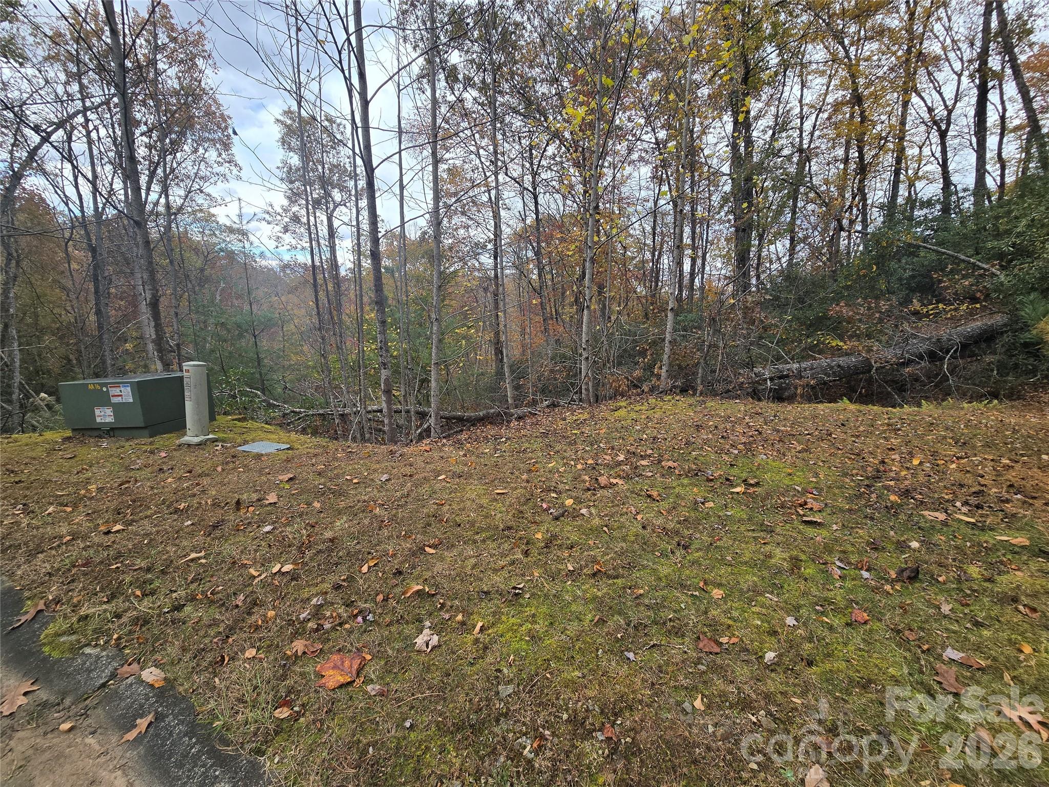 0 Shining Rock Path 17r Property Photo 9