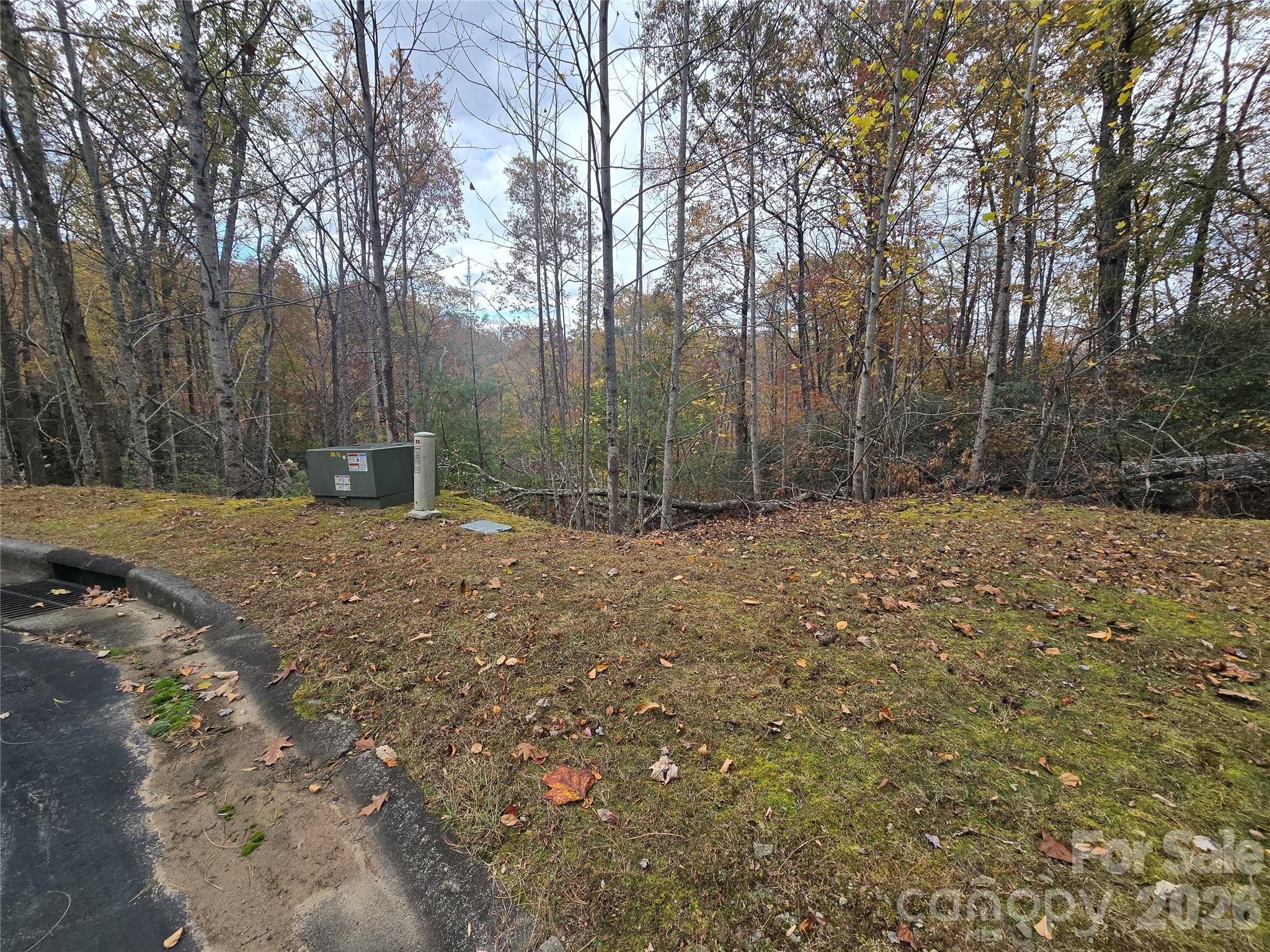 0 Shining Rock Path 17r Property Photo 10