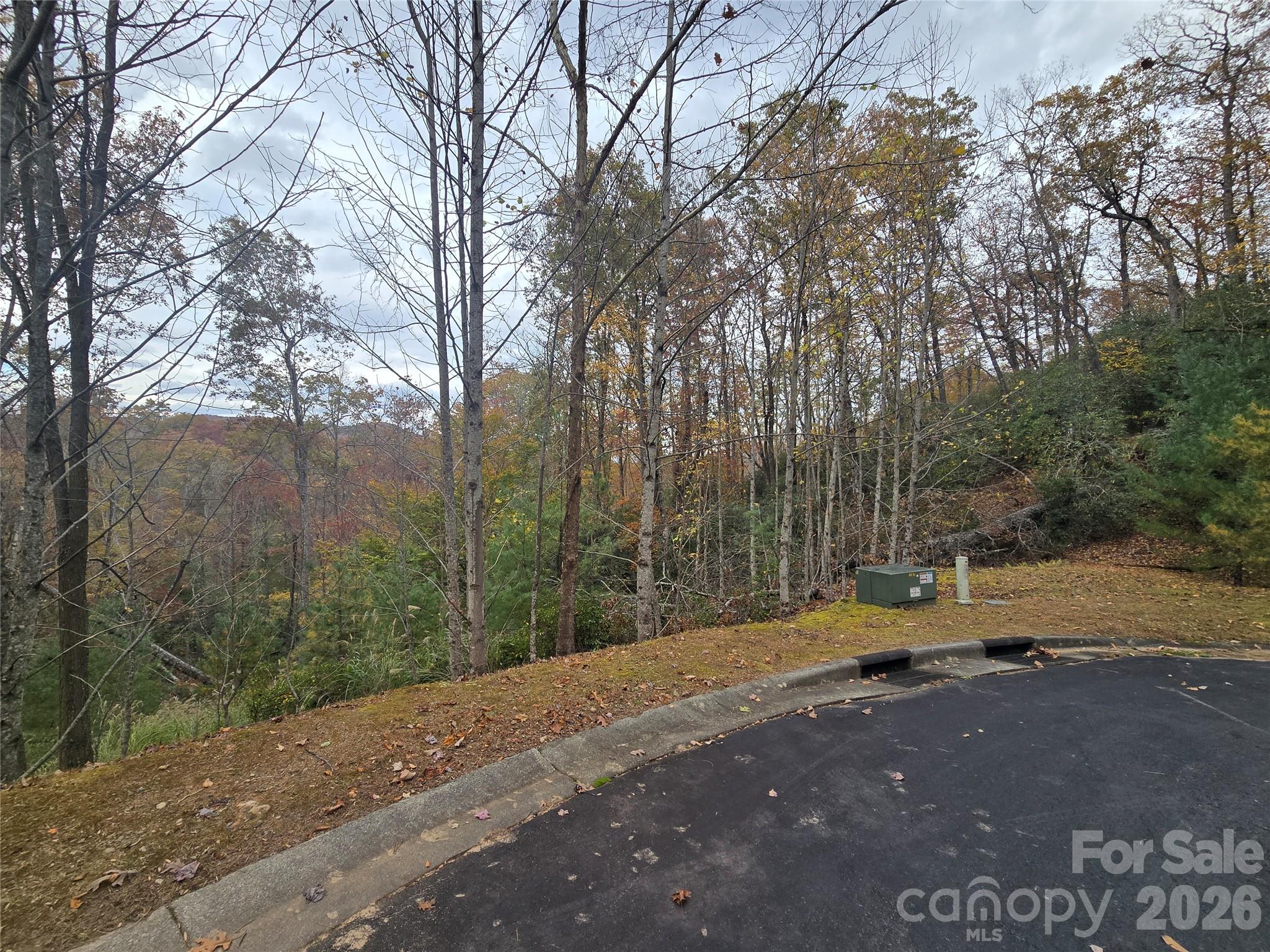 0 Shining Rock Path 17r Property Photo 11
