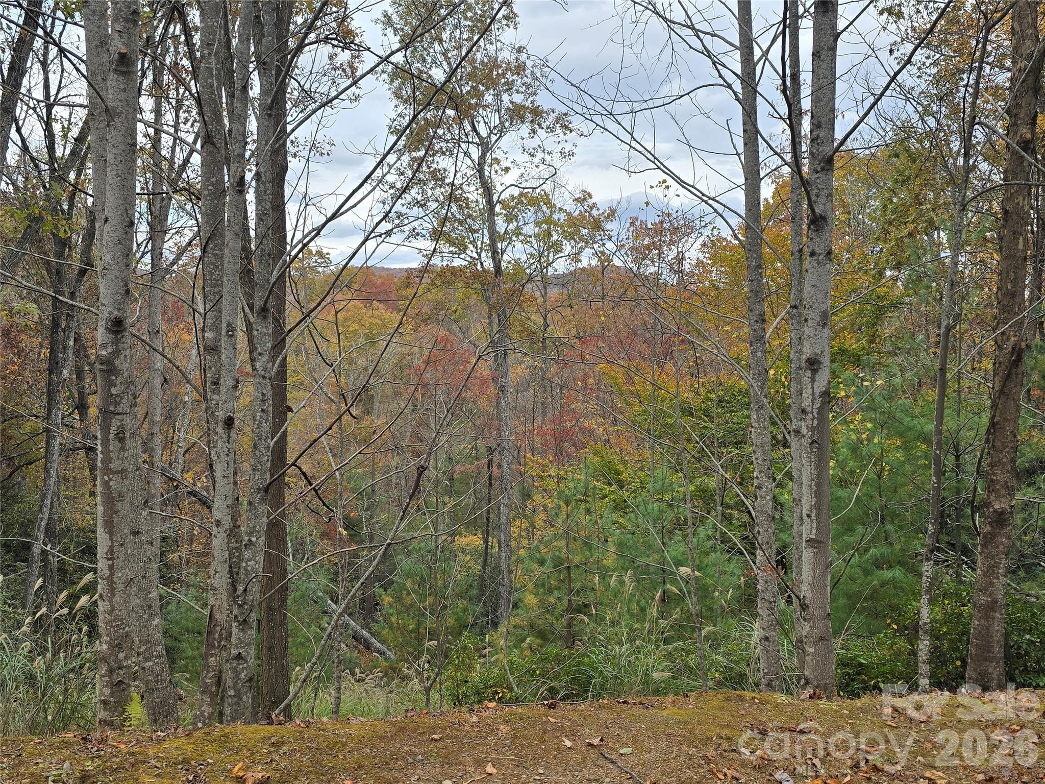 0 Shining Rock Path 17r Property Photo 12