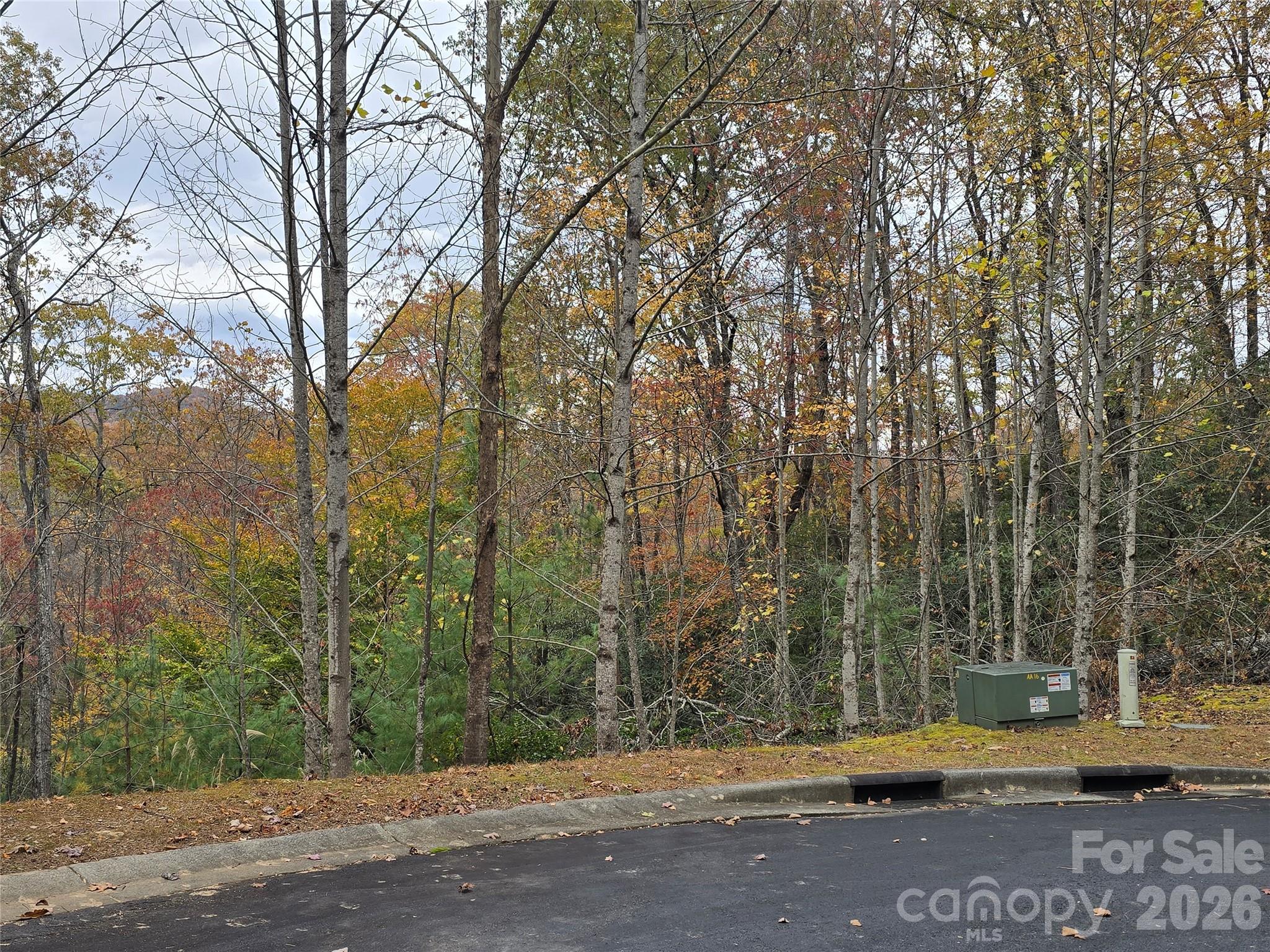 0 Shining Rock Path 17r Property Photo 13