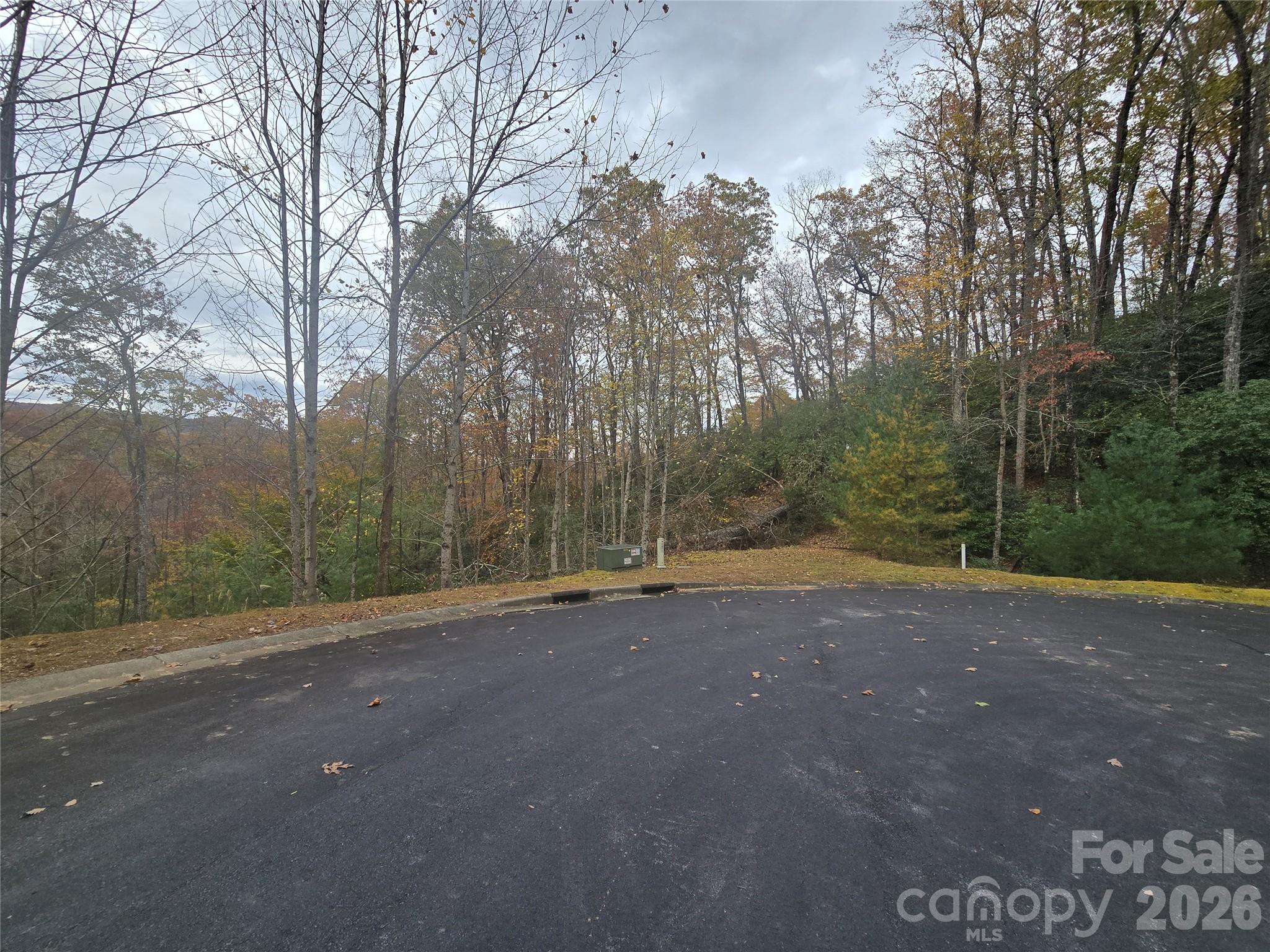 0 Shining Rock Path 17r Property Photo 14