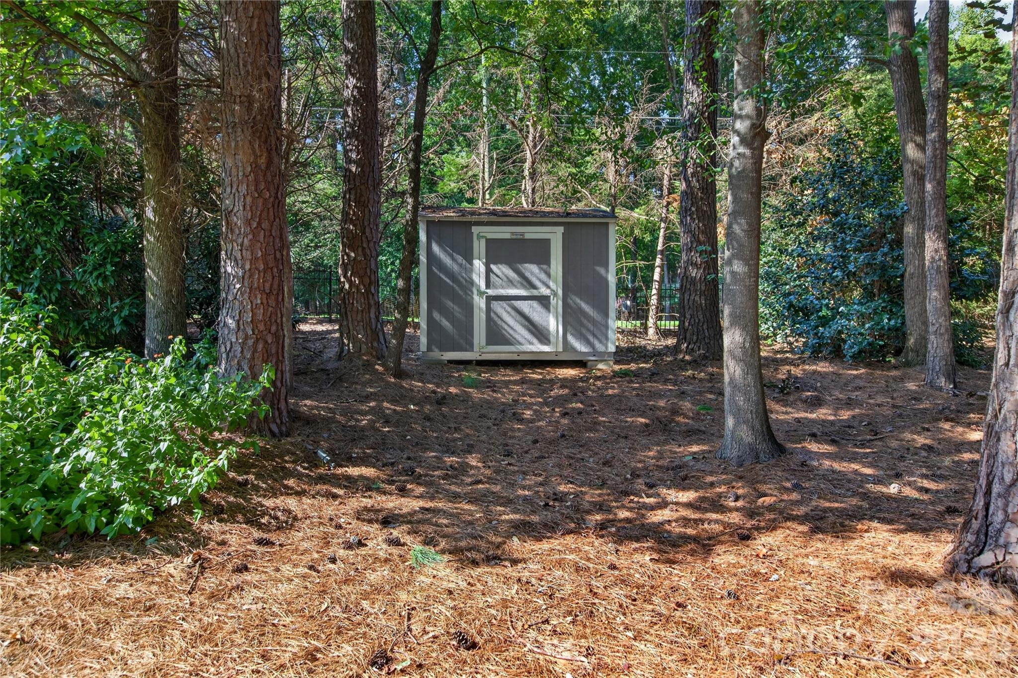 9605 White Hemlock Lane Property Photo 38