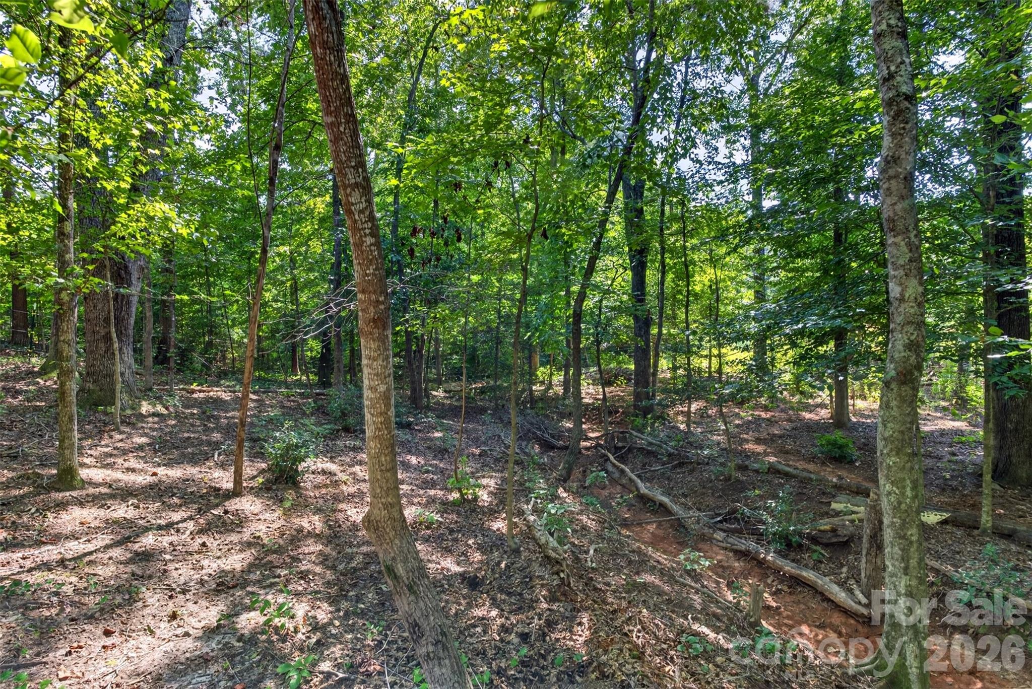 316 Oak Grove Road Property Photo 32
