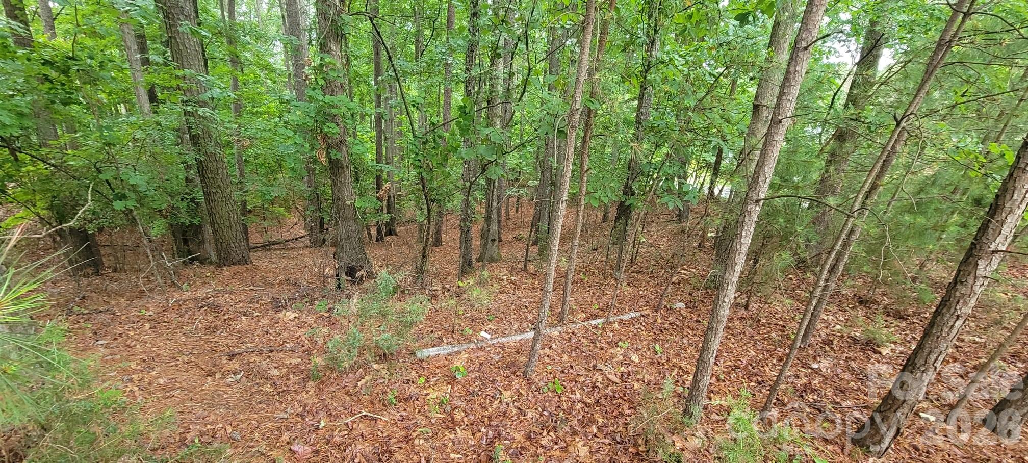 4000 Beechwood Spring Lane Property Photo 2