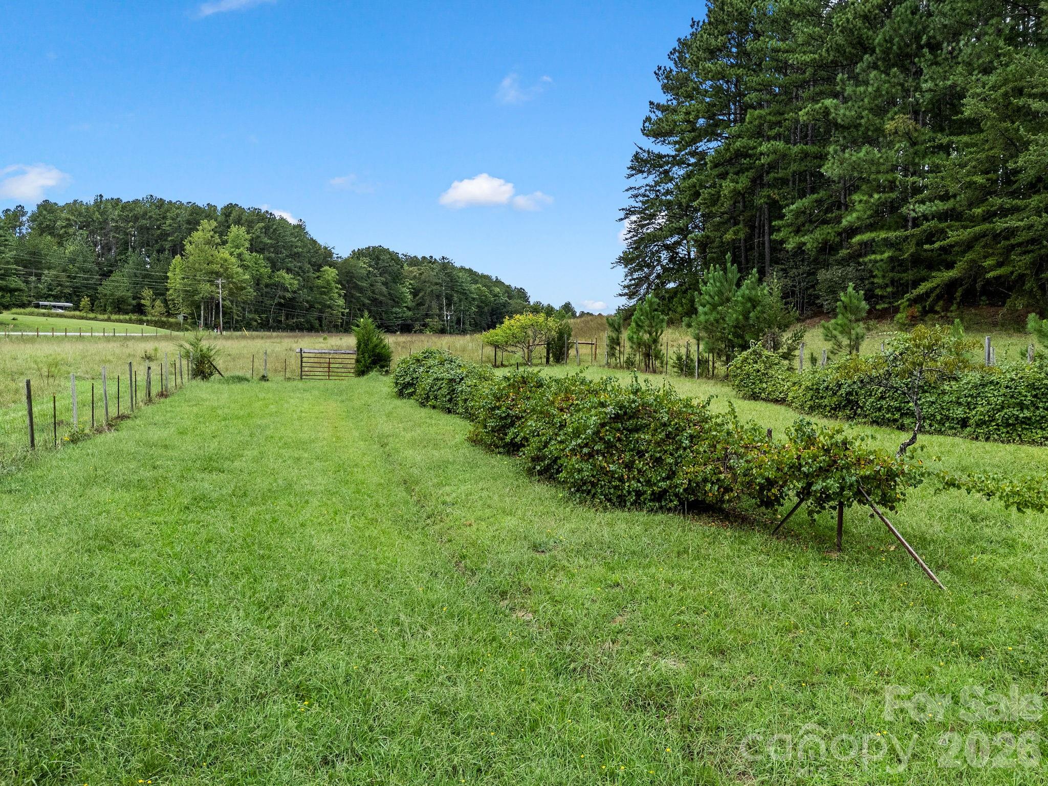 1164 Garrett Road Property Photo 33