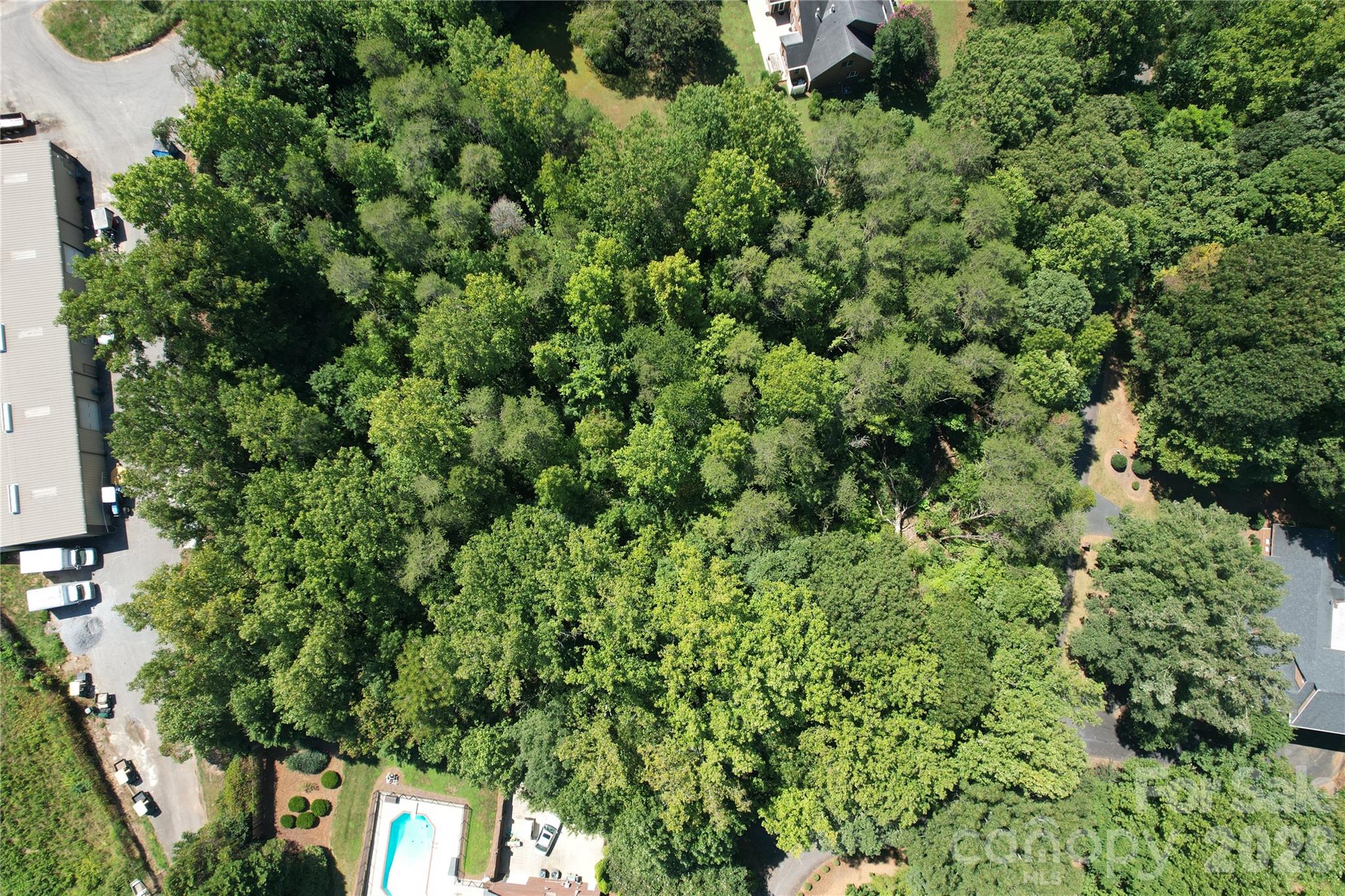 3924 Deer Run Drive Property Photo 4