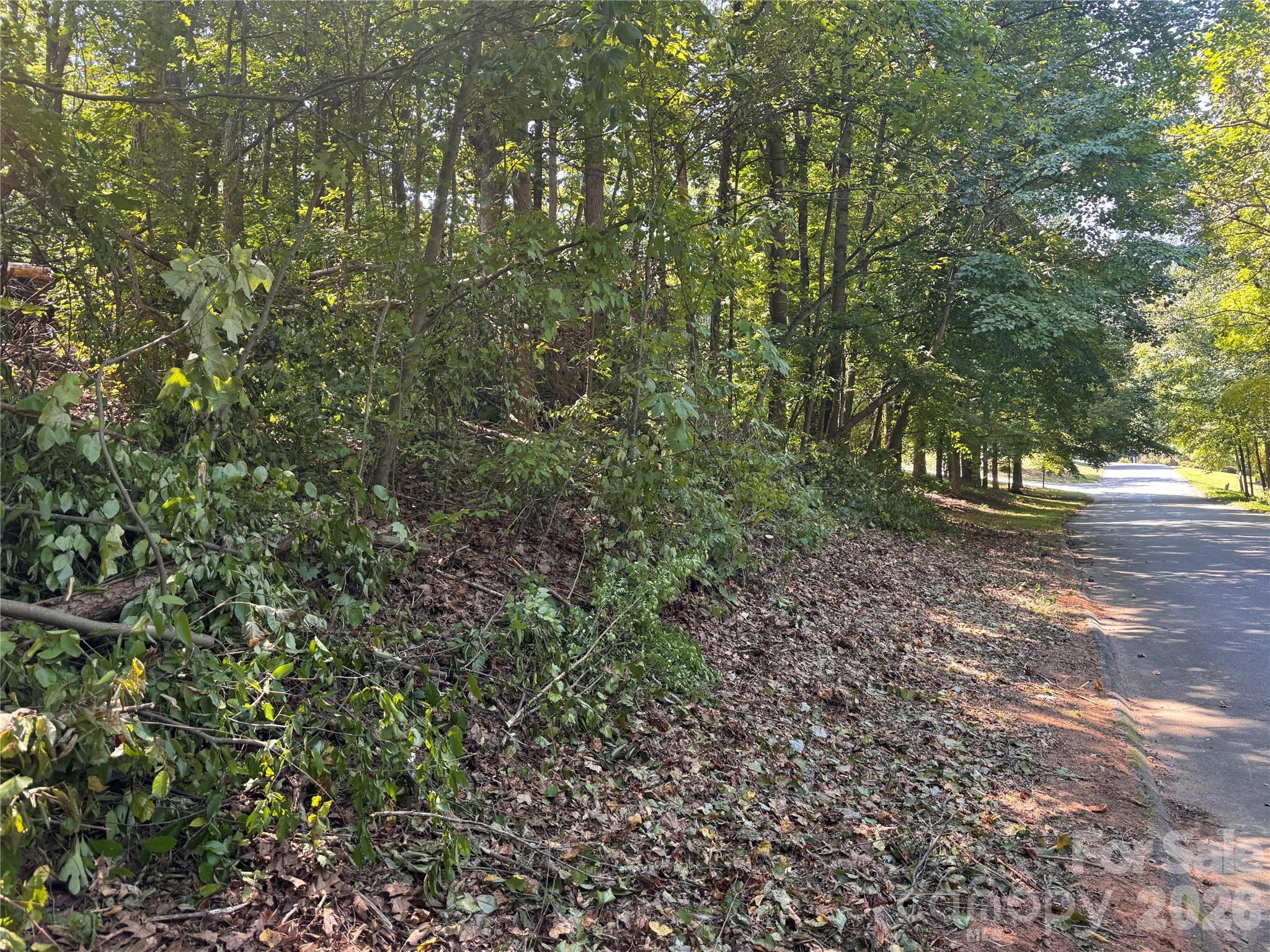 3924 Deer Run Drive Property Photo 11