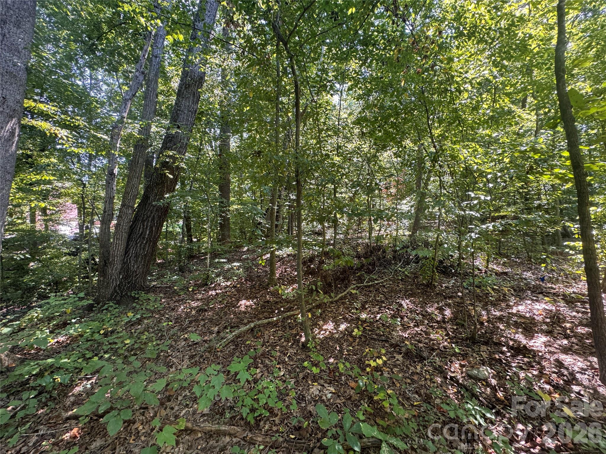 3924 Deer Run Drive Property Photo 12