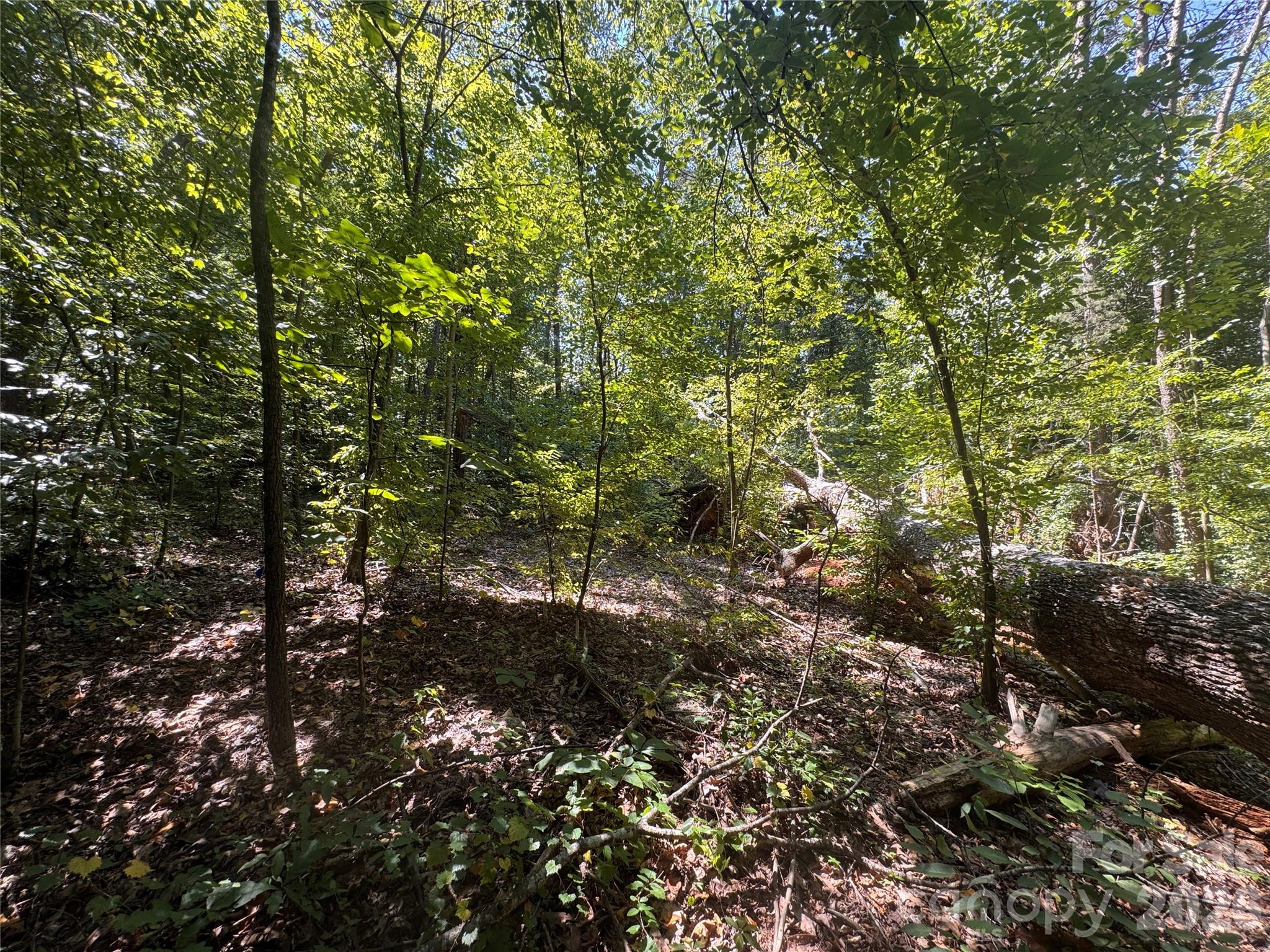 3924 Deer Run Drive Property Photo 13