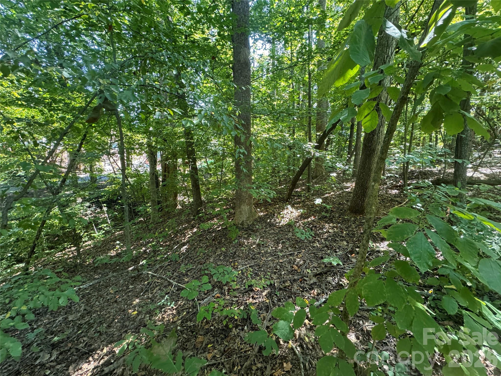 3924 Deer Run Drive Property Photo 14
