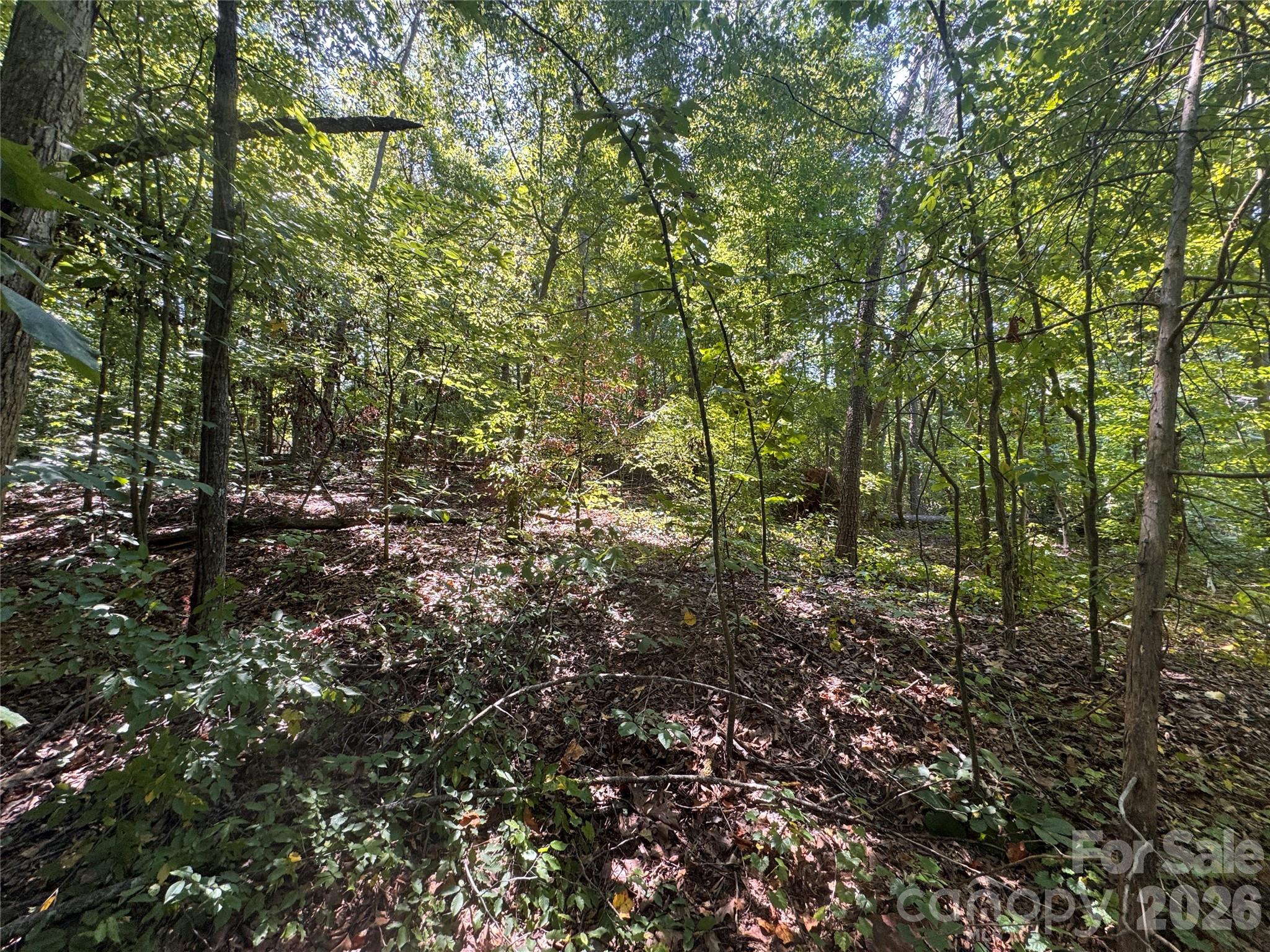 3924 Deer Run Drive Property Photo 15