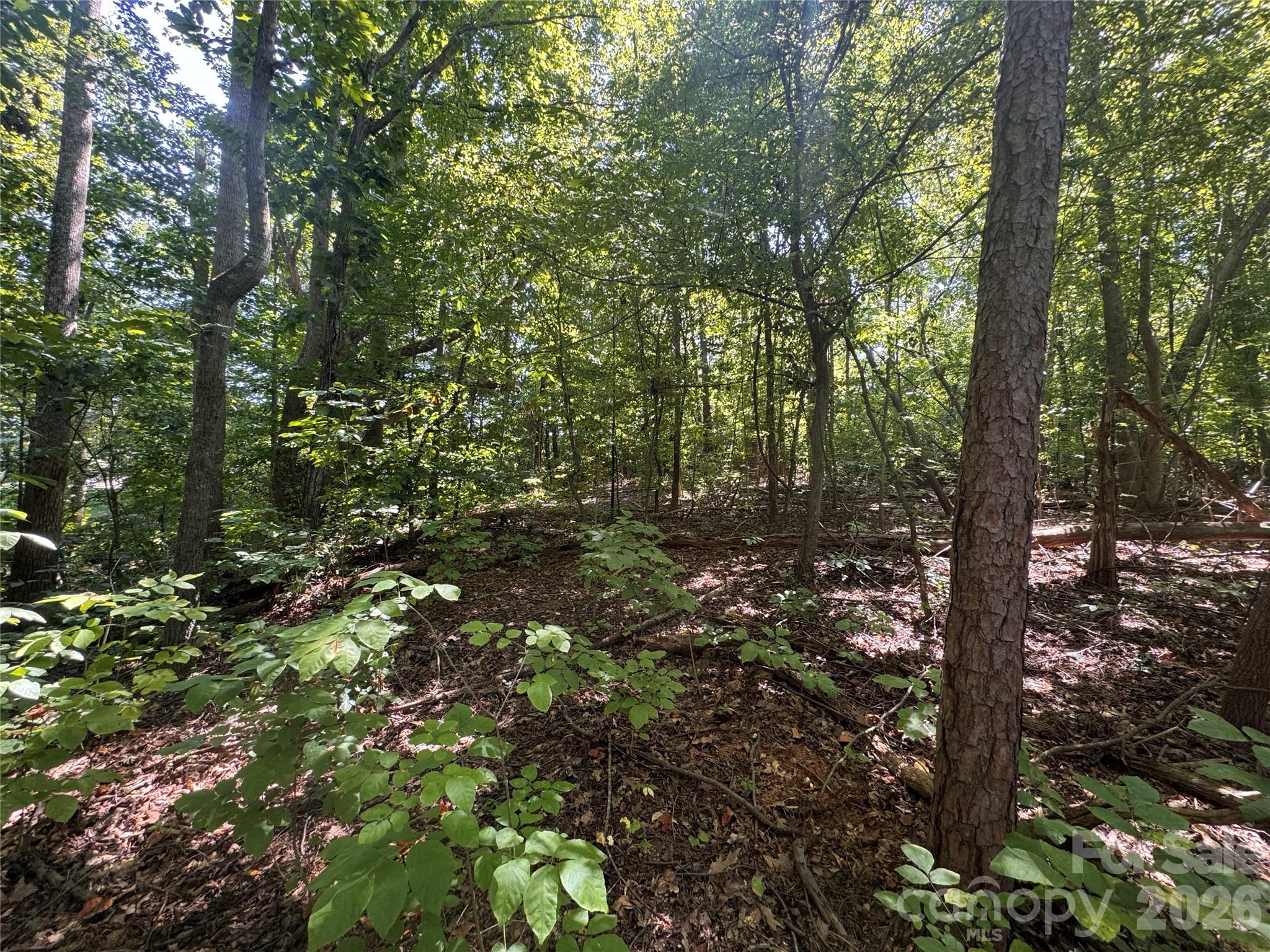 3924 Deer Run Drive Property Photo 16
