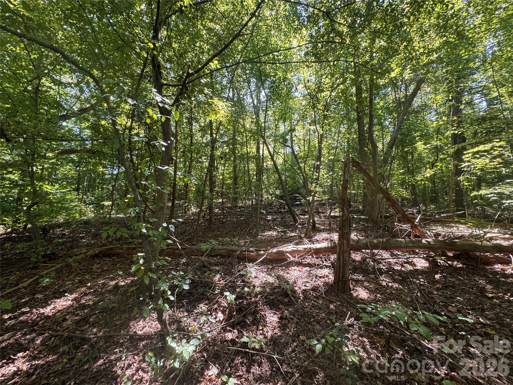 3924 Deer Run Drive Property Photo 17